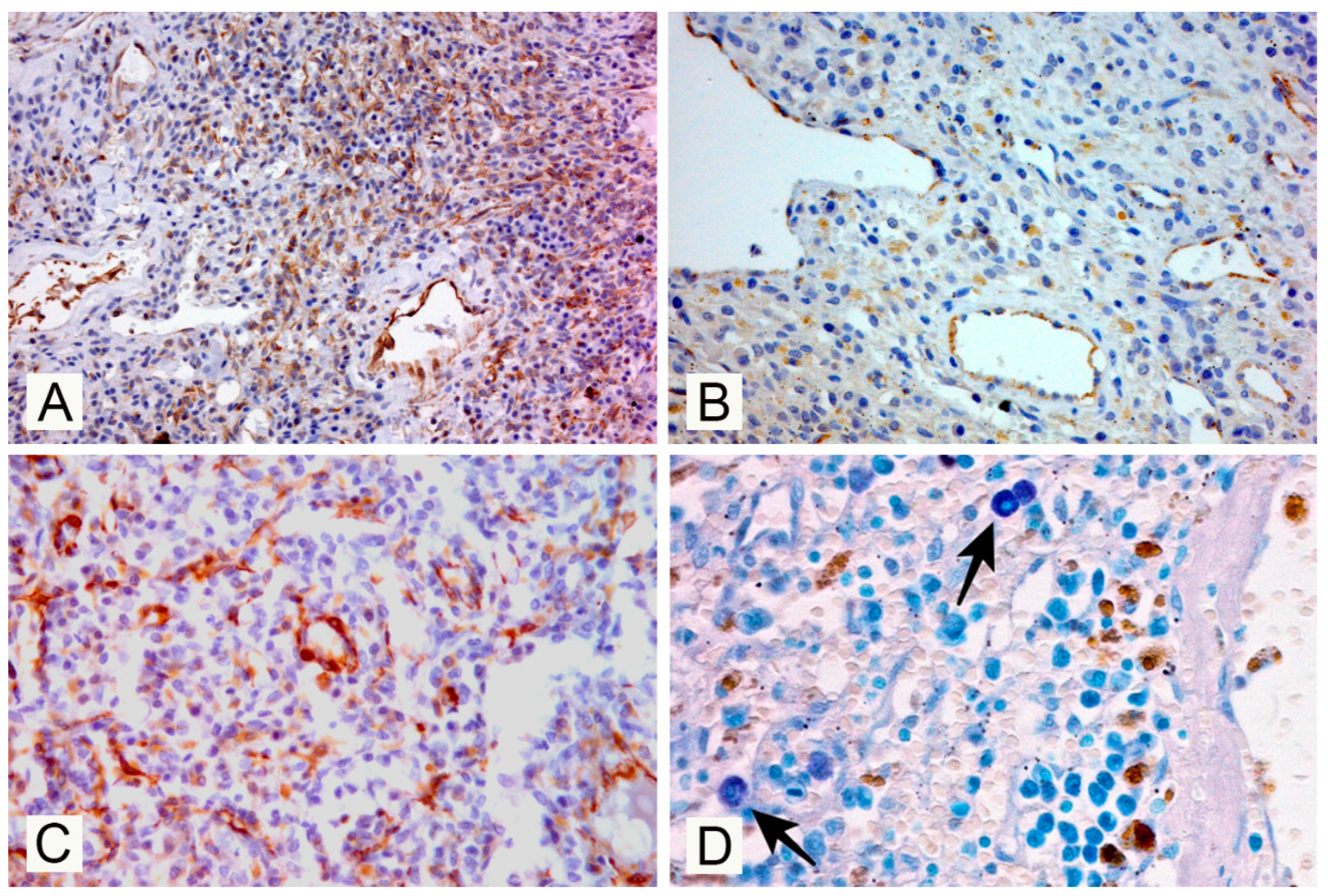 Vetsci 07 00102 g003 Vetsci 07 00102 g003