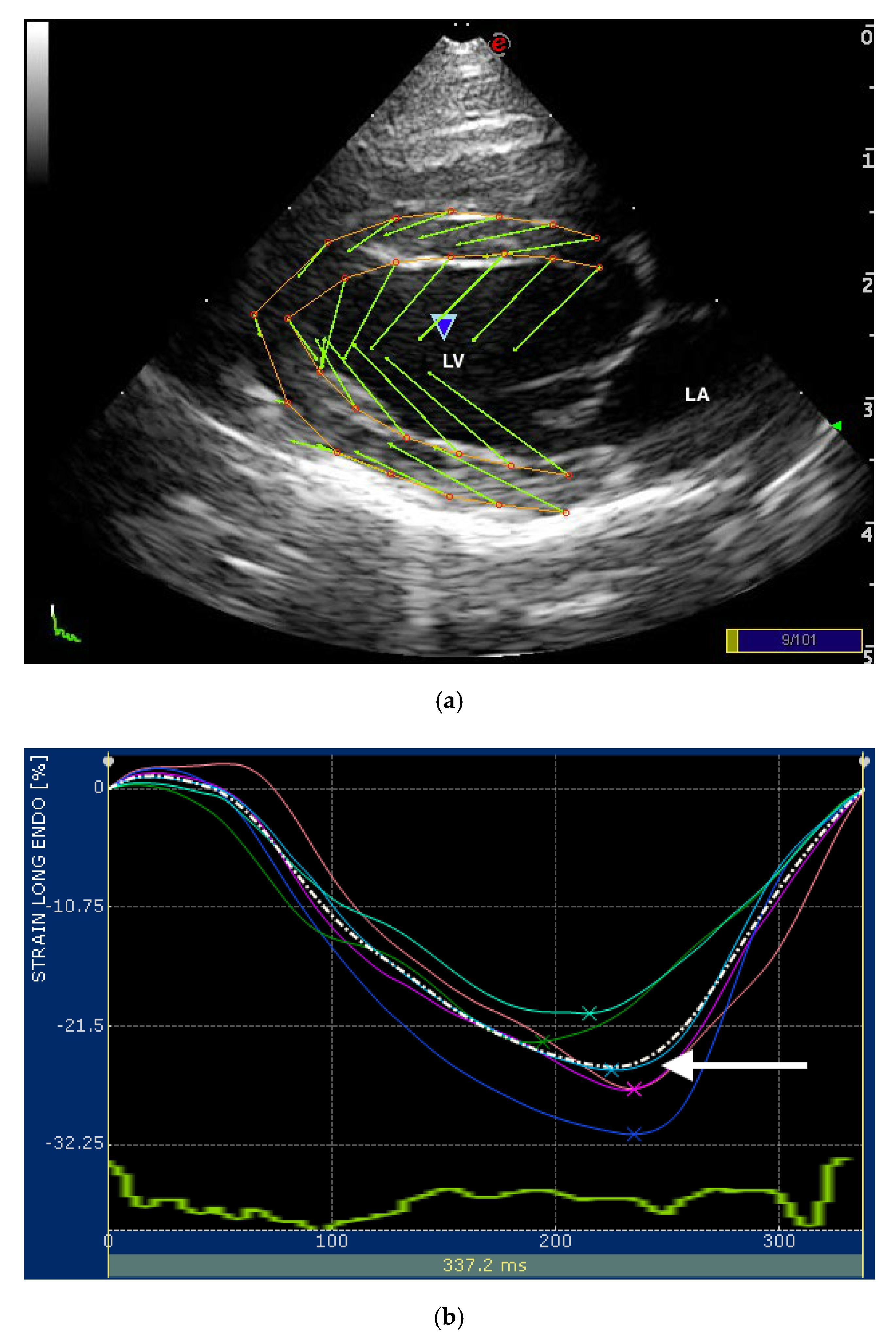 Veterinary Sciences Free FullText Assessment of Longitudinal Left