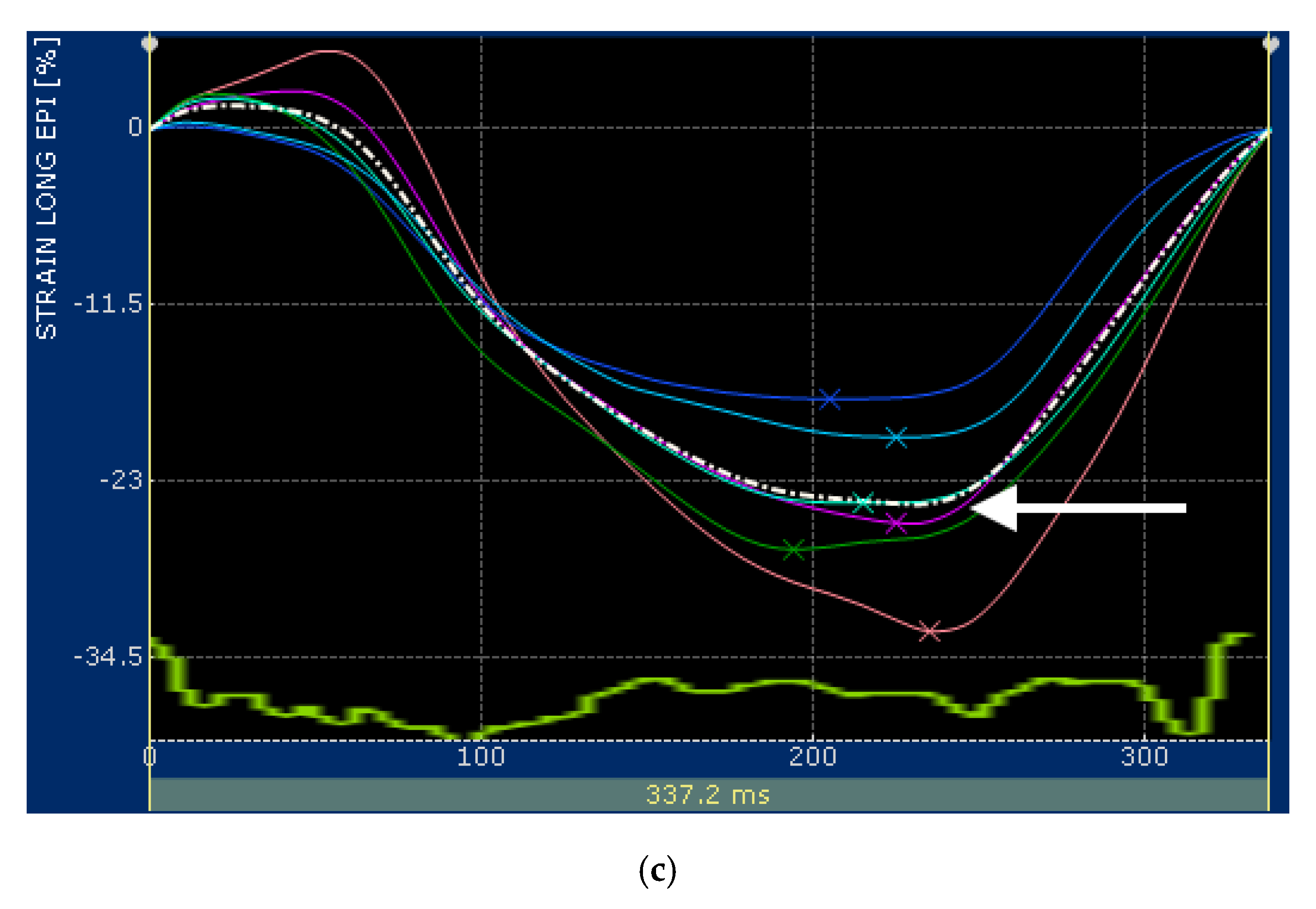 Vetsci 07 00104 g001b