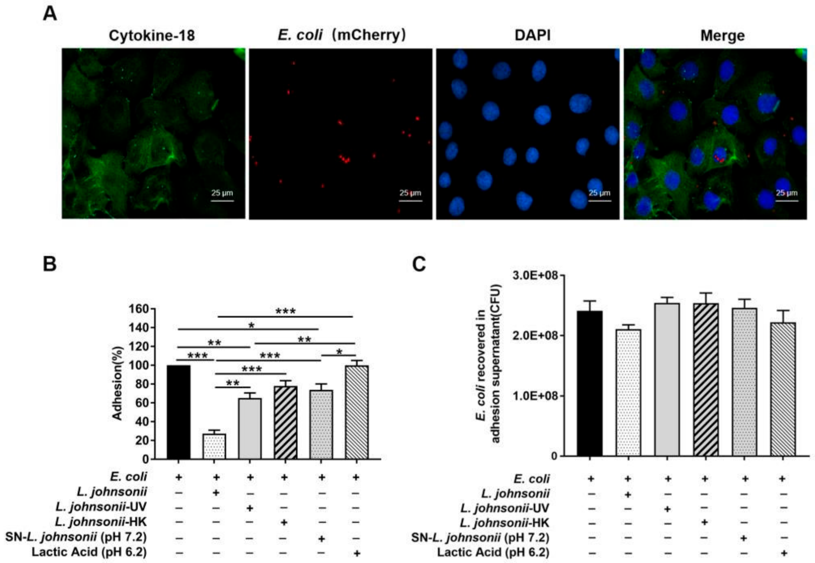 Vetsci 07 00112 g001 Vetsci 07 00112 g001