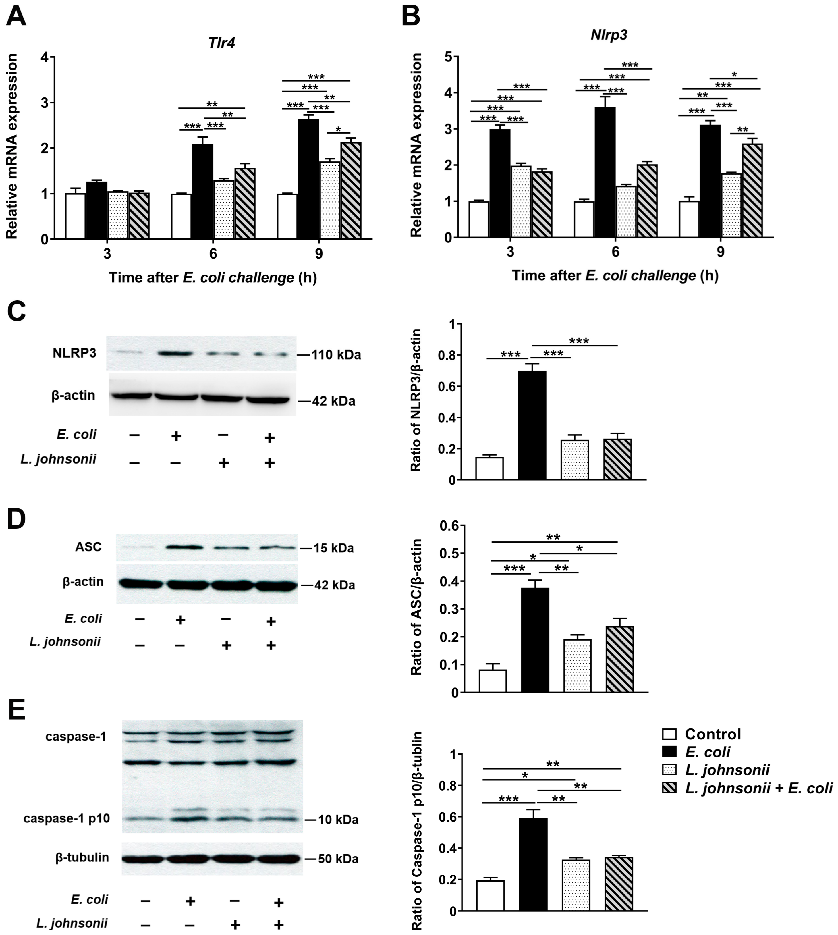 Vetsci 07 00112 g003 Vetsci 07 00112 g003