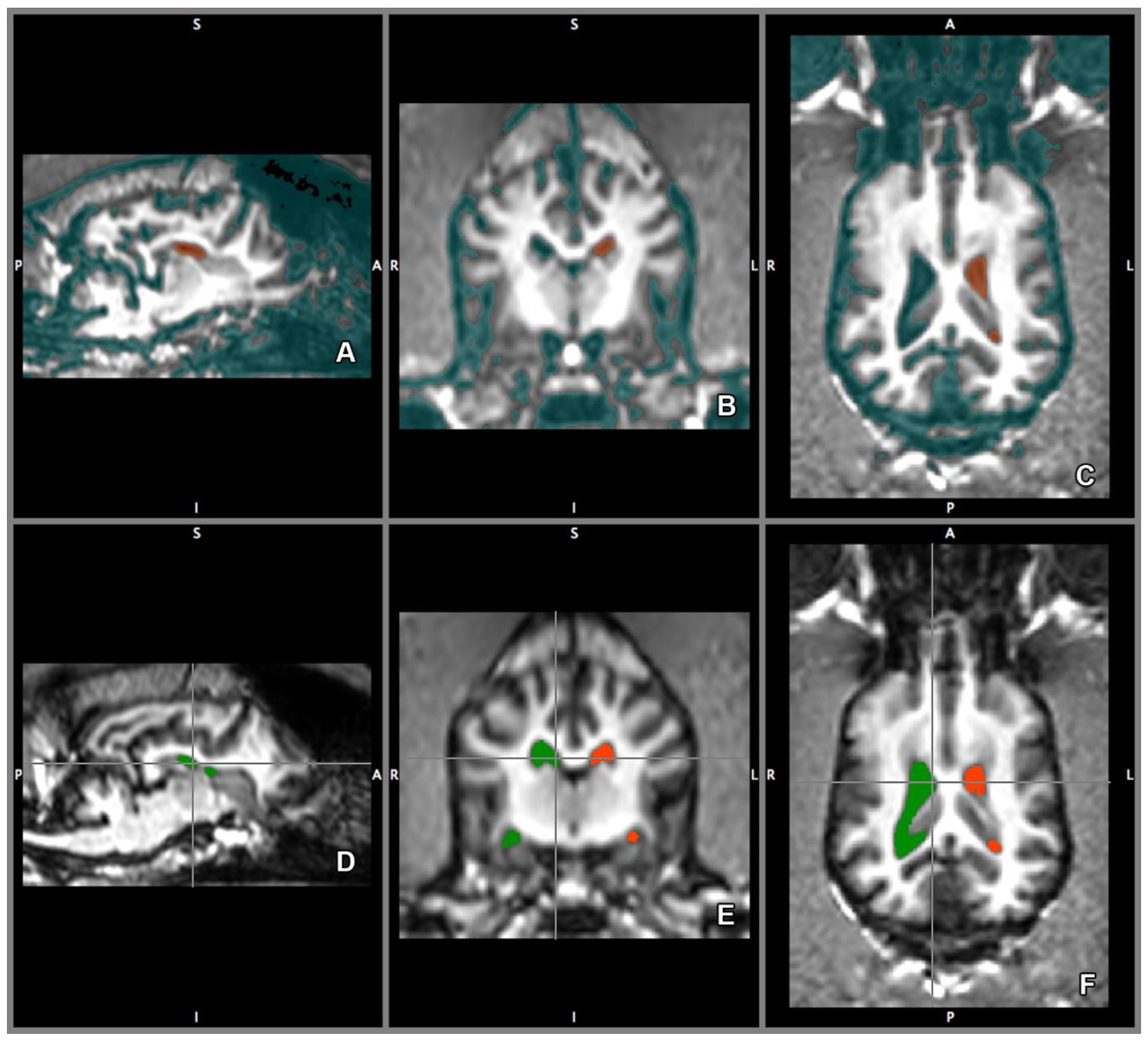 Vetsci 07 00127 g004