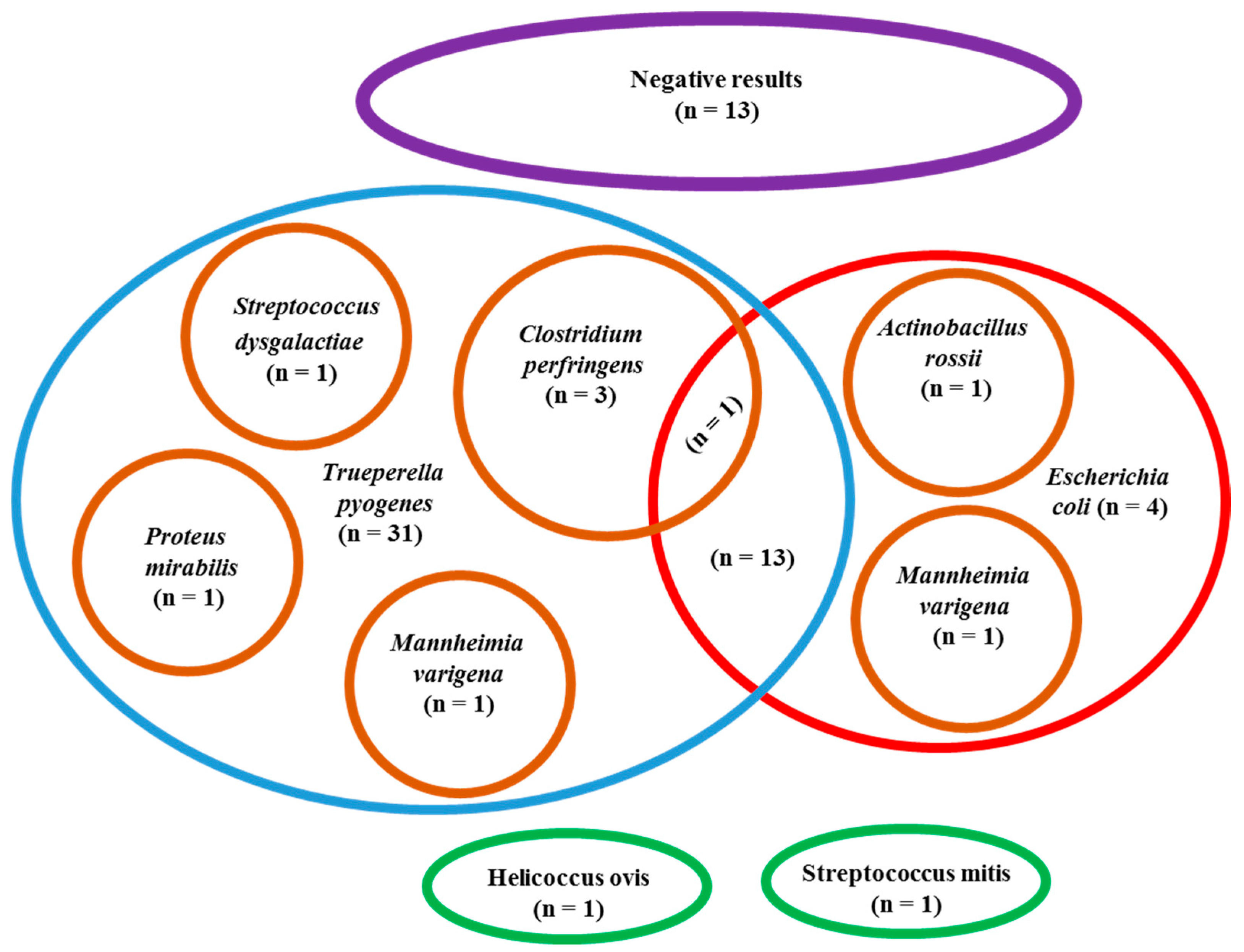 Vetsci 07 00134 sch001