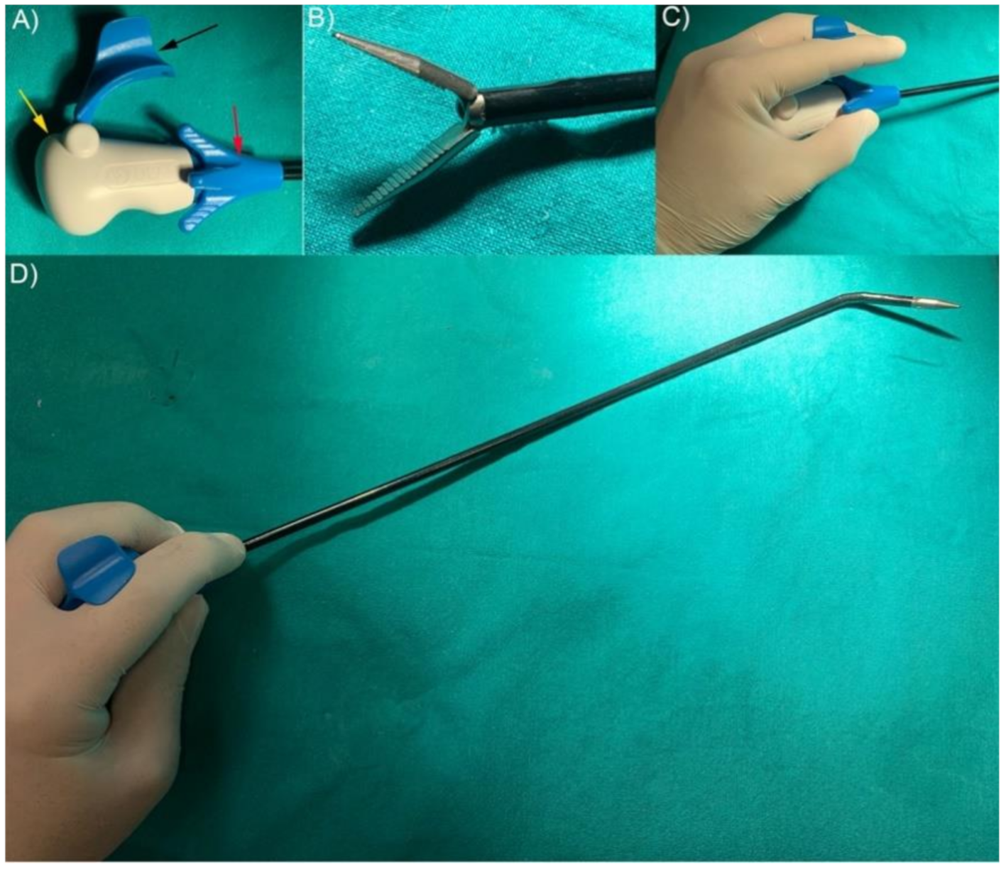 Vetsci 07 00135 g001