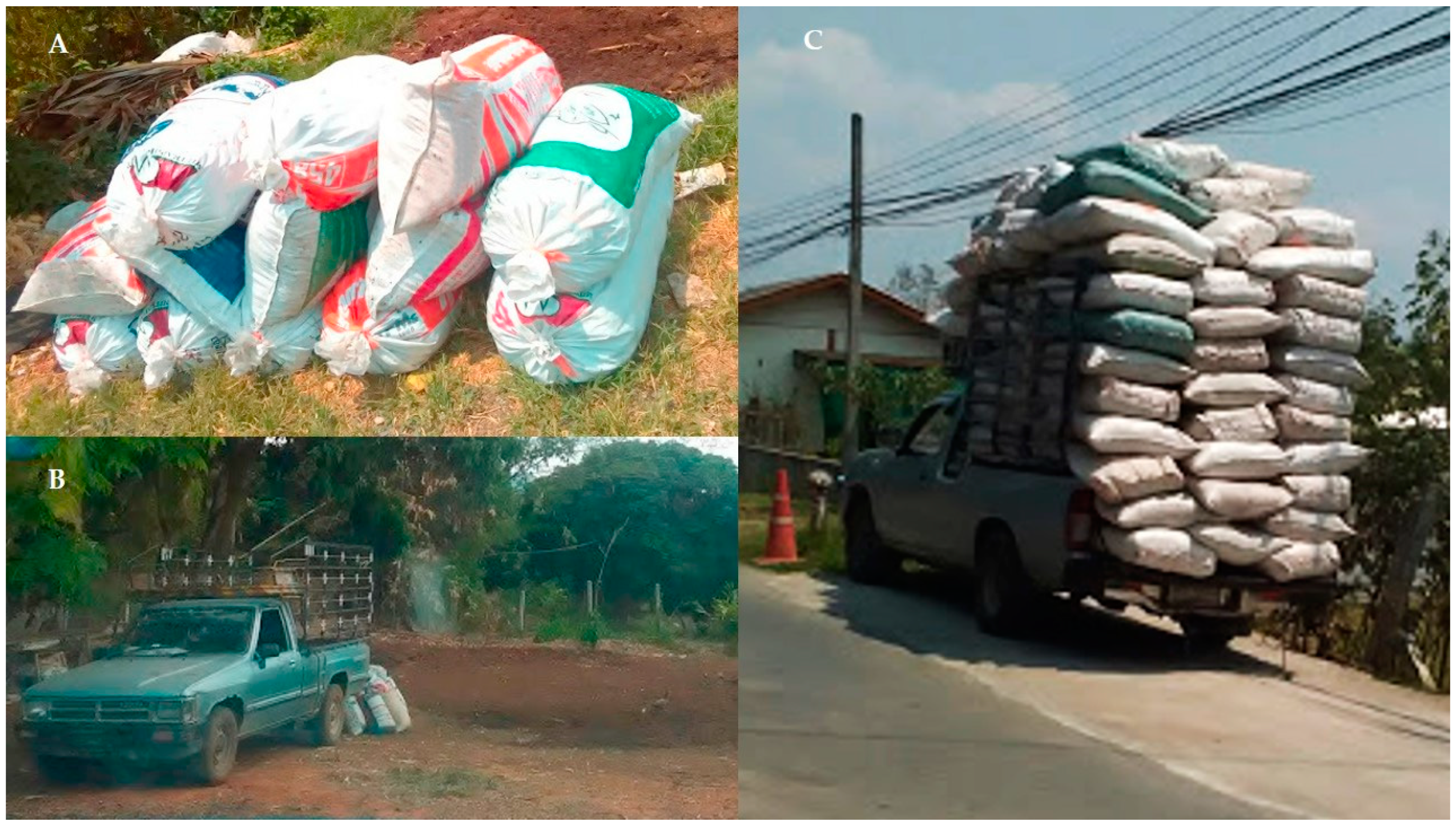 Vetsci 07 00138 g001 Vetsci 07 00138 g001