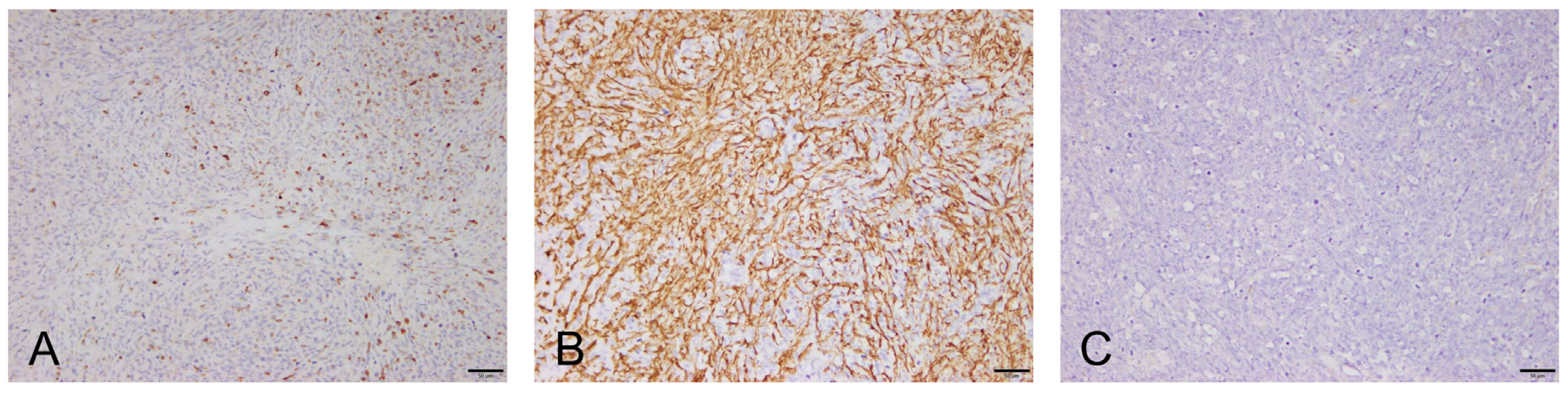 Vetsci 07 00145 g004