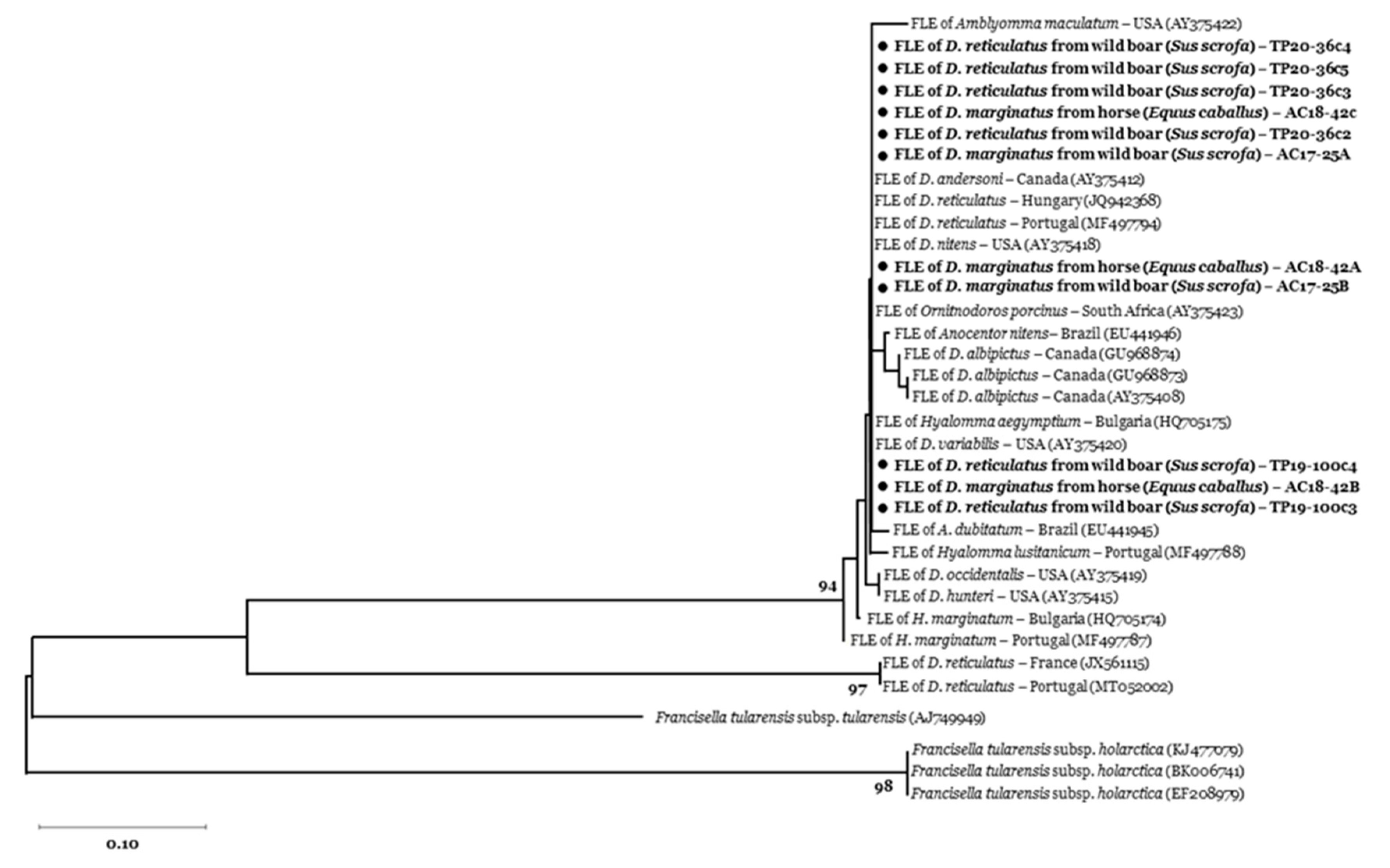 Vetsci 07 00157 g002 Vetsci 07 00157 g002