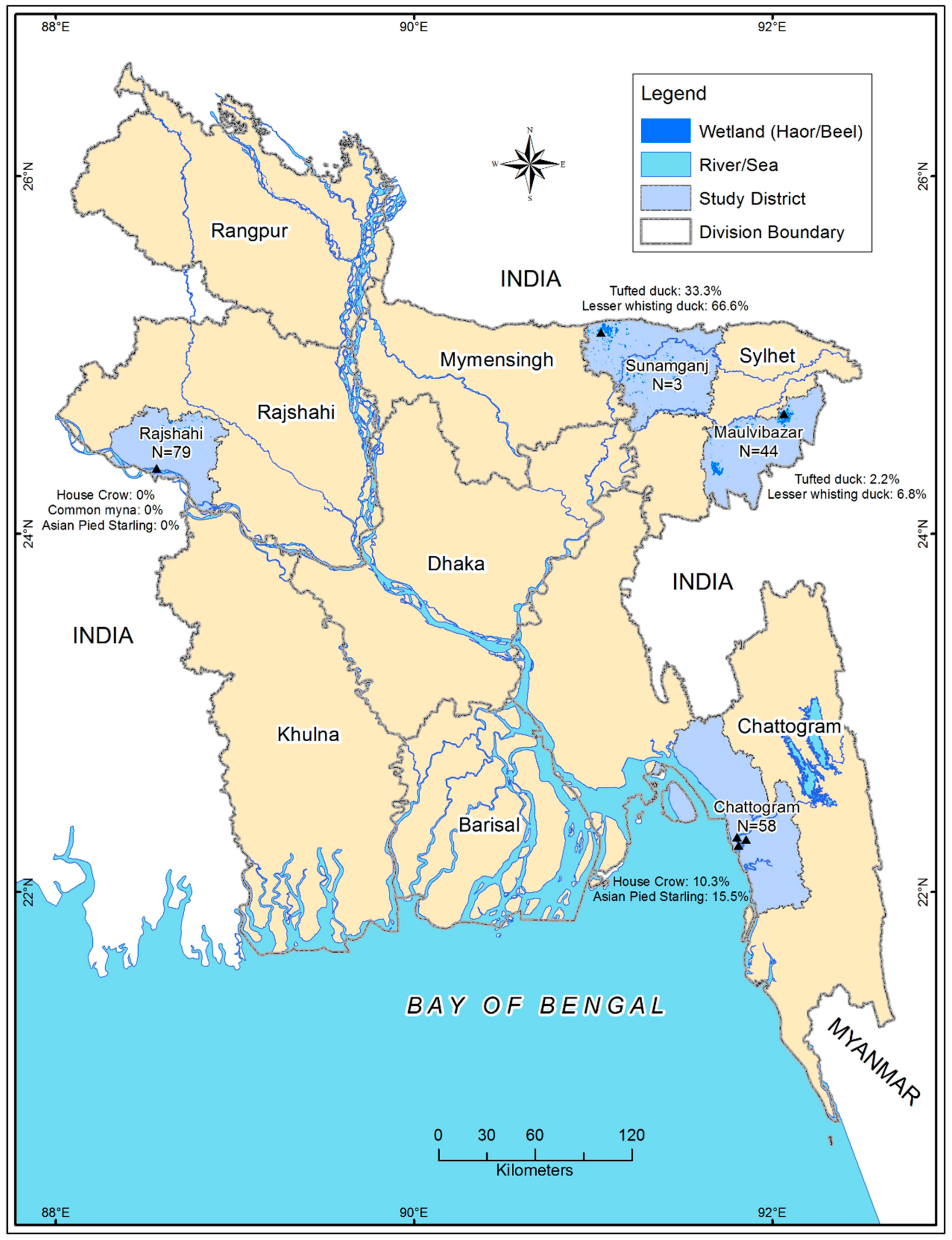 Vetsci 07 00164 g001