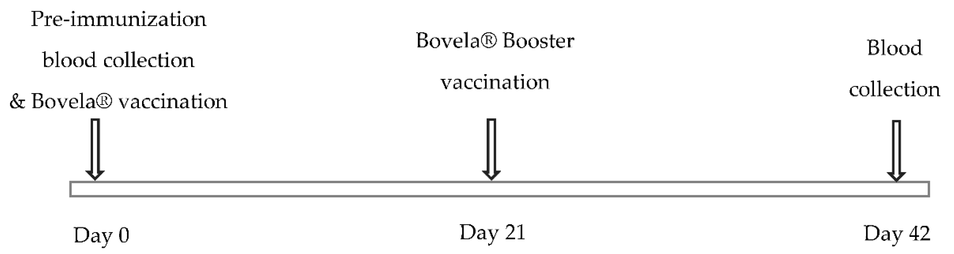 Vetsci 07 00169 g001