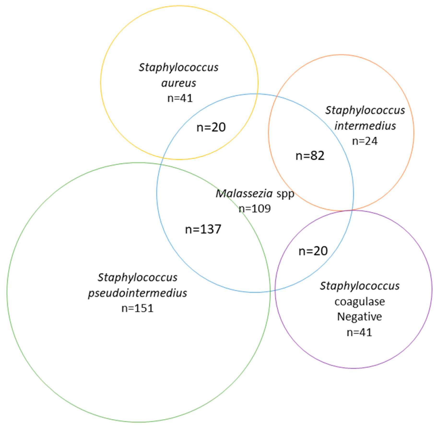 Vetsci 07 00173 g001