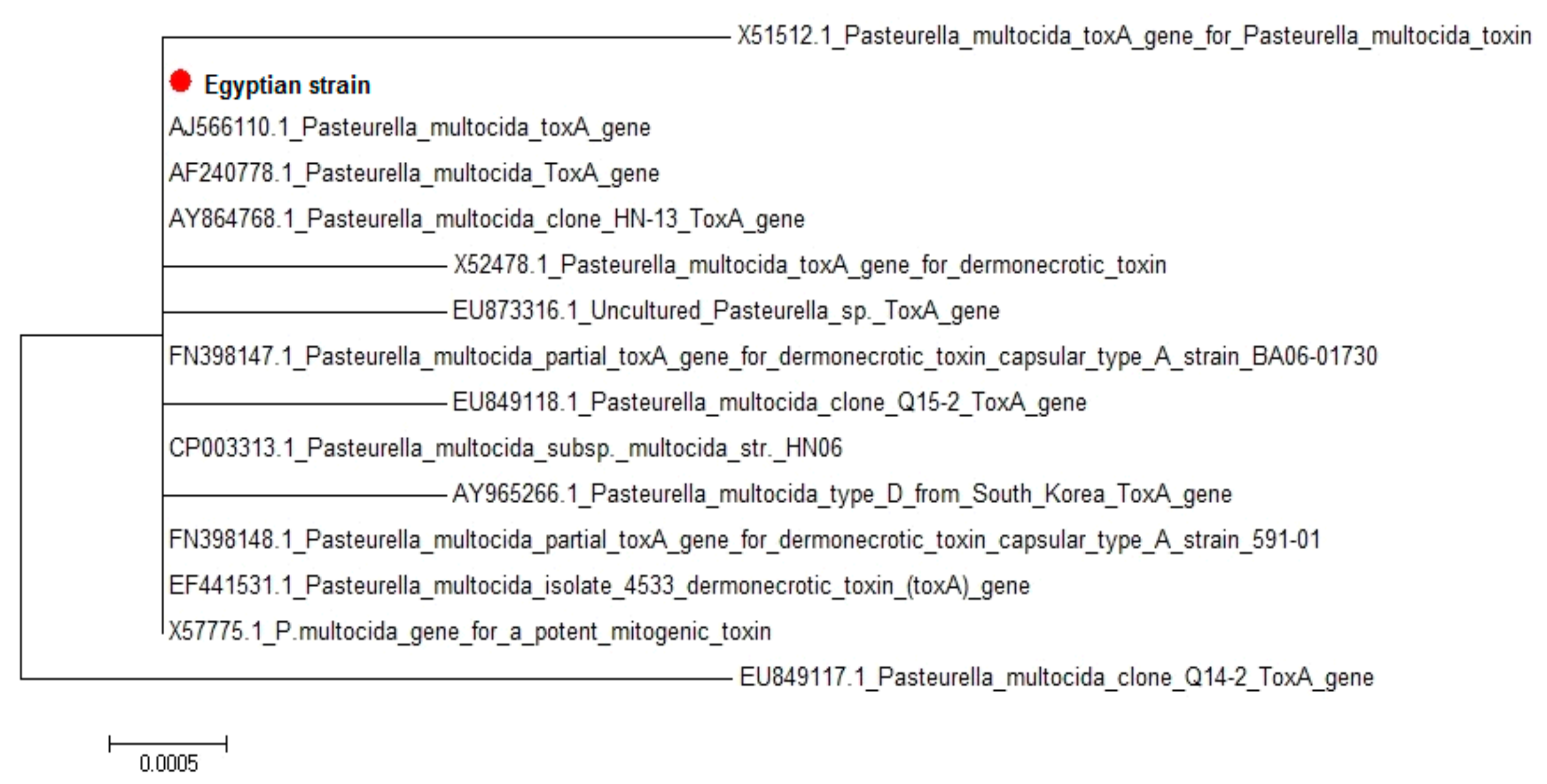 Vetsci 07 00174 g001
