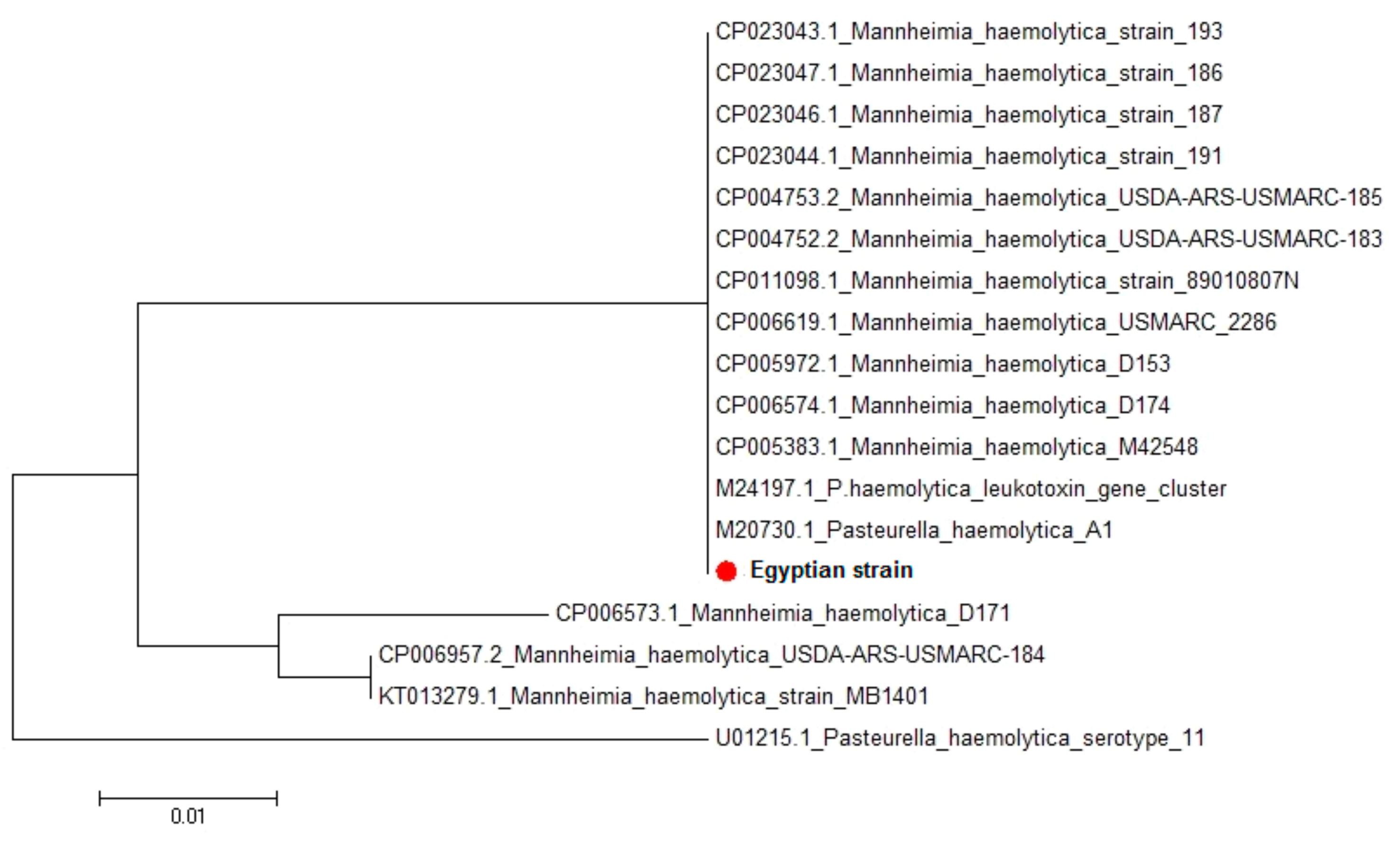 Vetsci 07 00174 g002