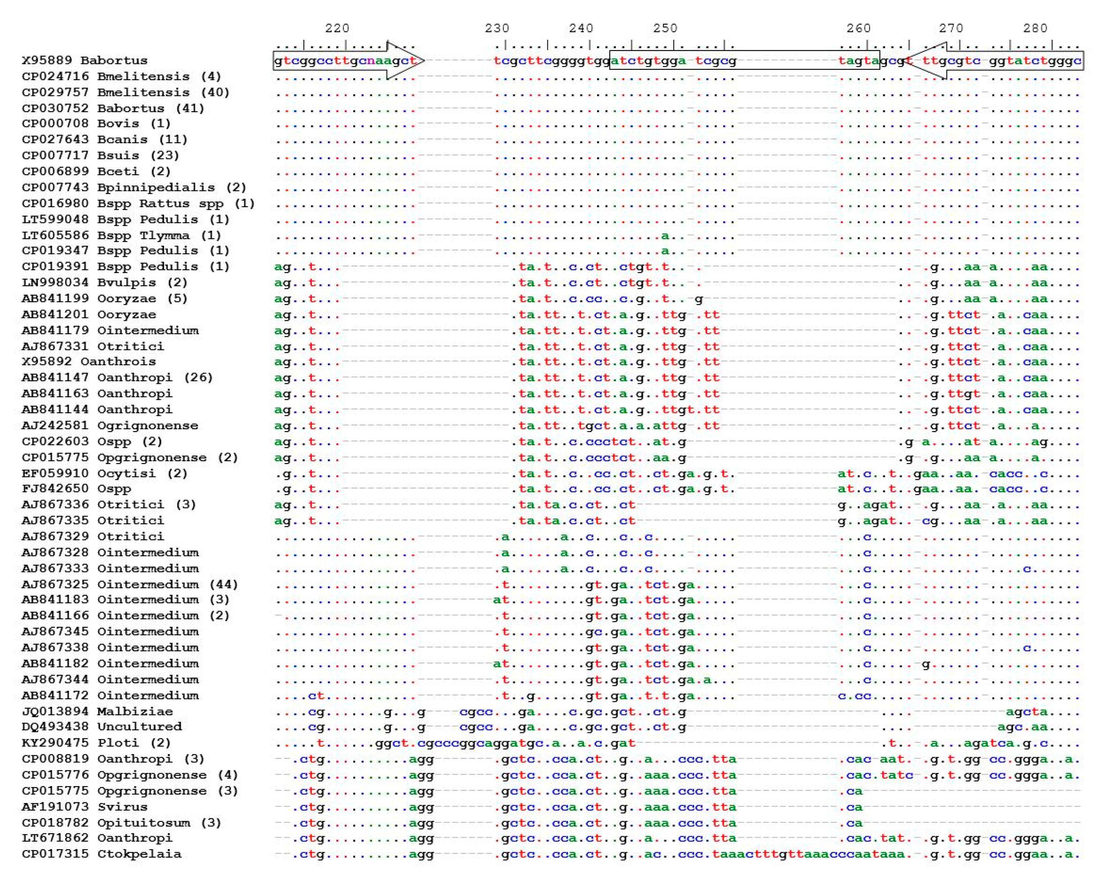 Vetsci 07 00175 g001