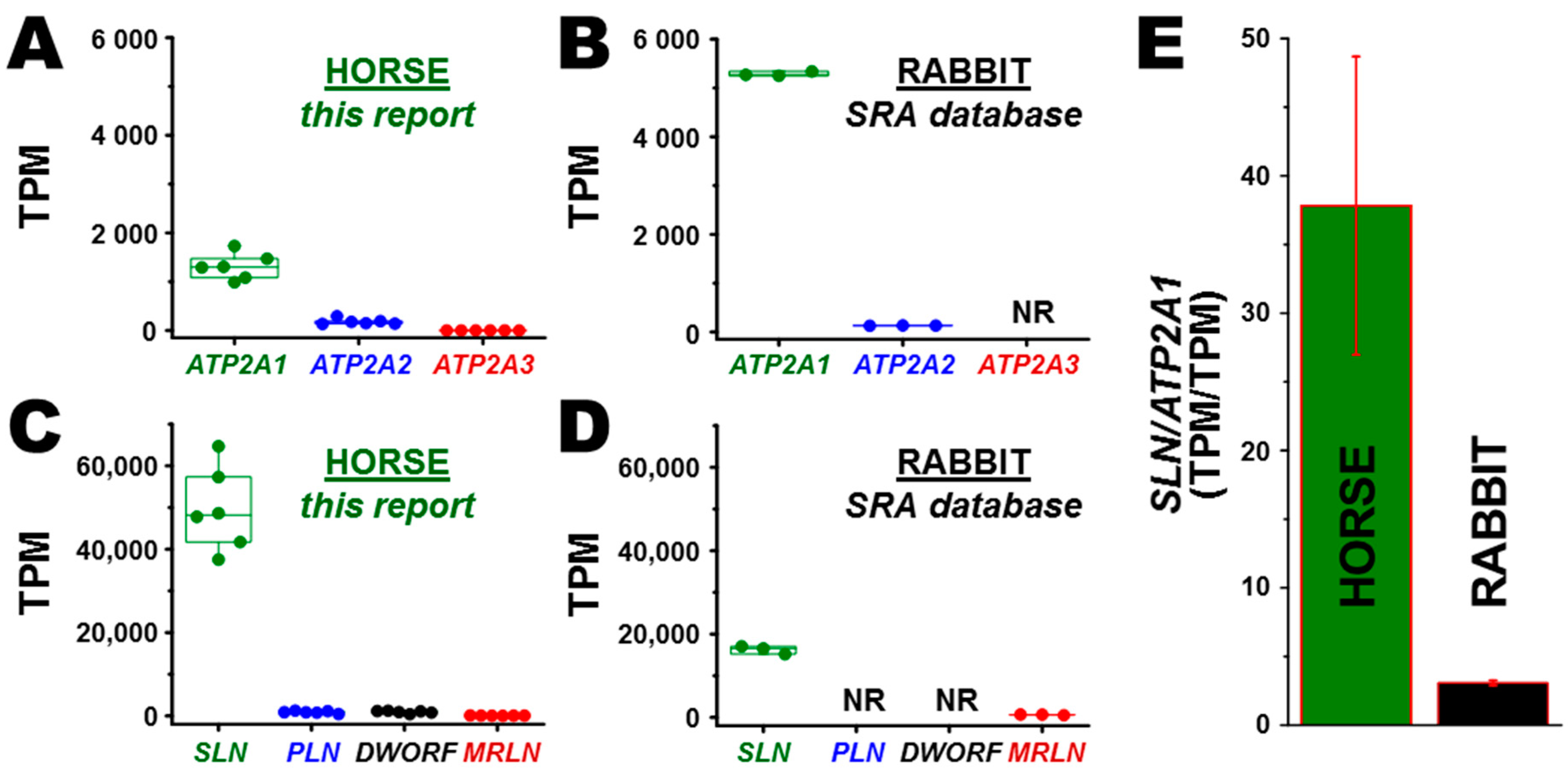 Vetsci 07 00178 g001 Vetsci 07 00178 g001