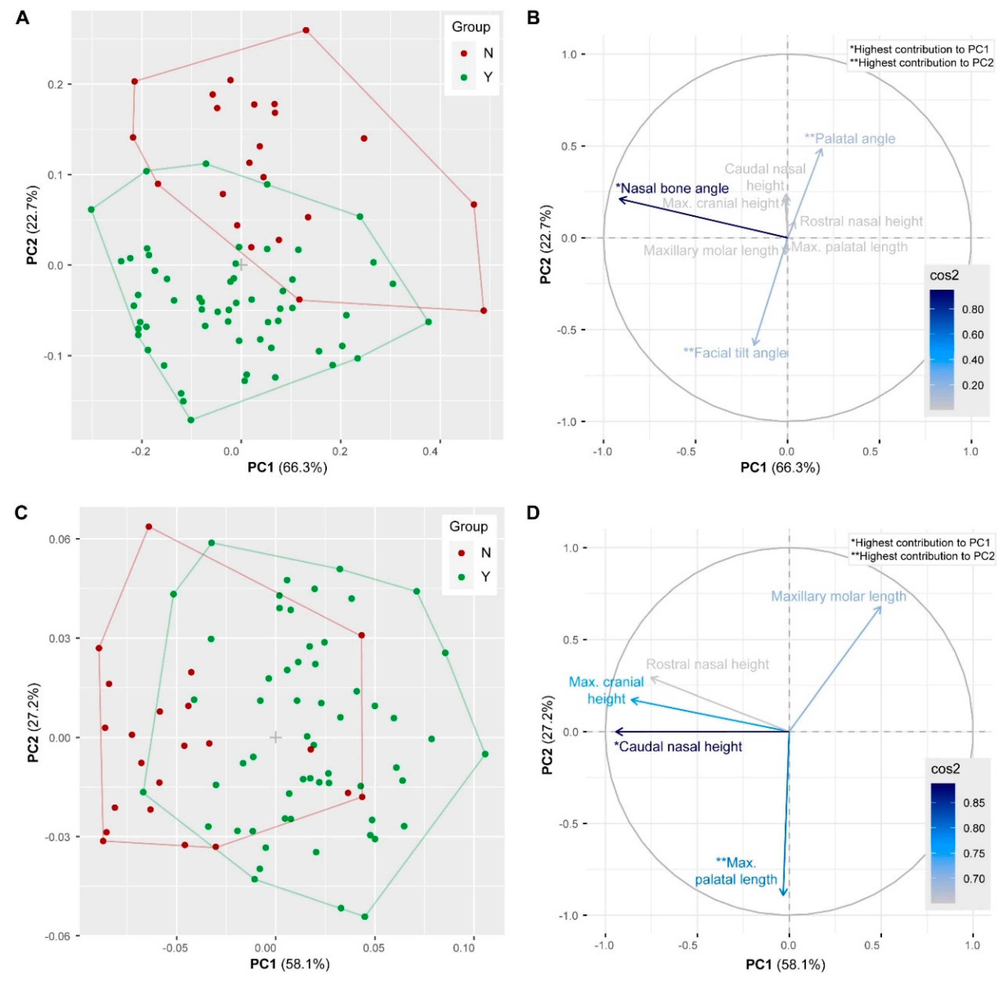 Vetsci 07 00182 g003