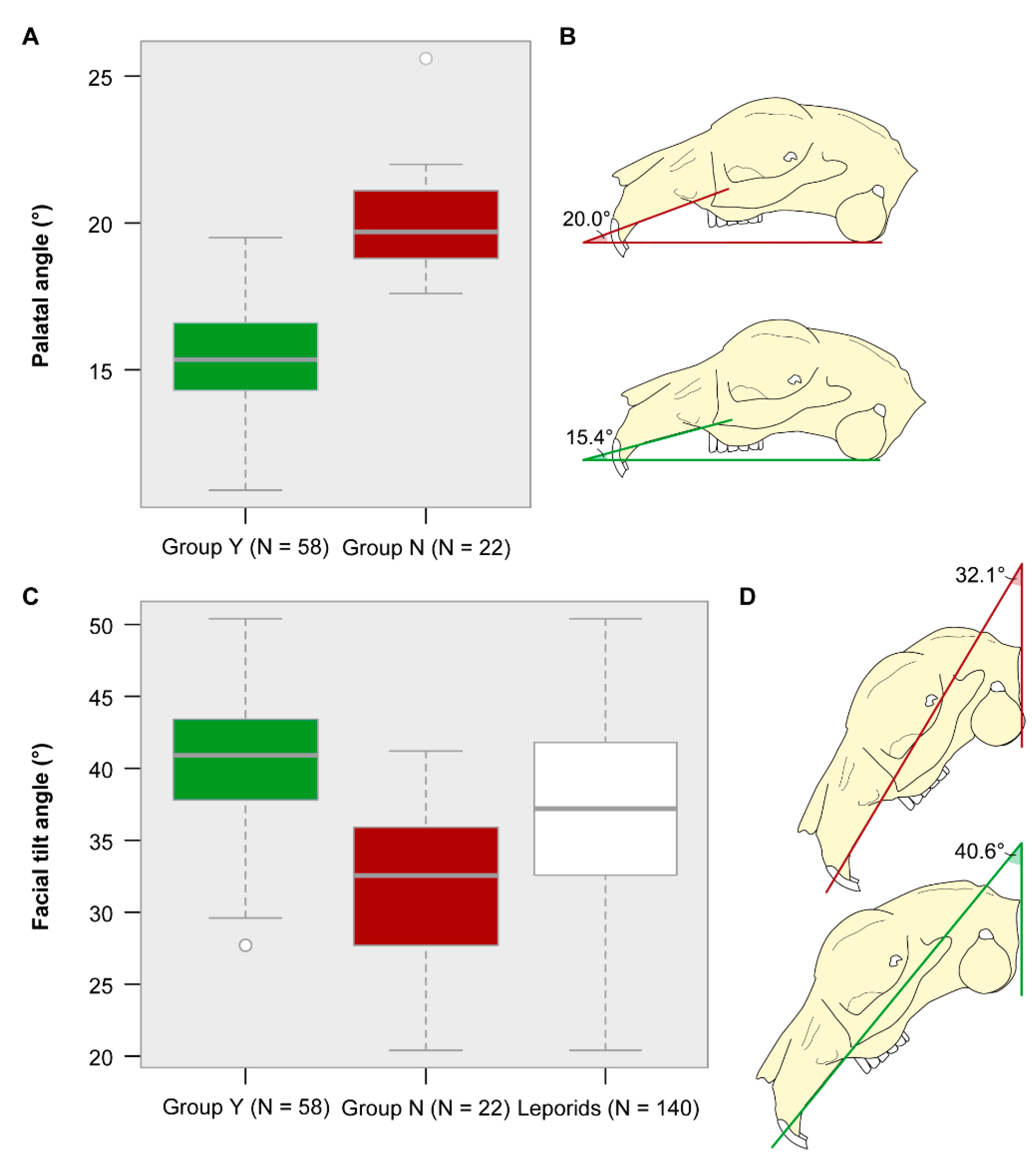 Vetsci 07 00182 g004