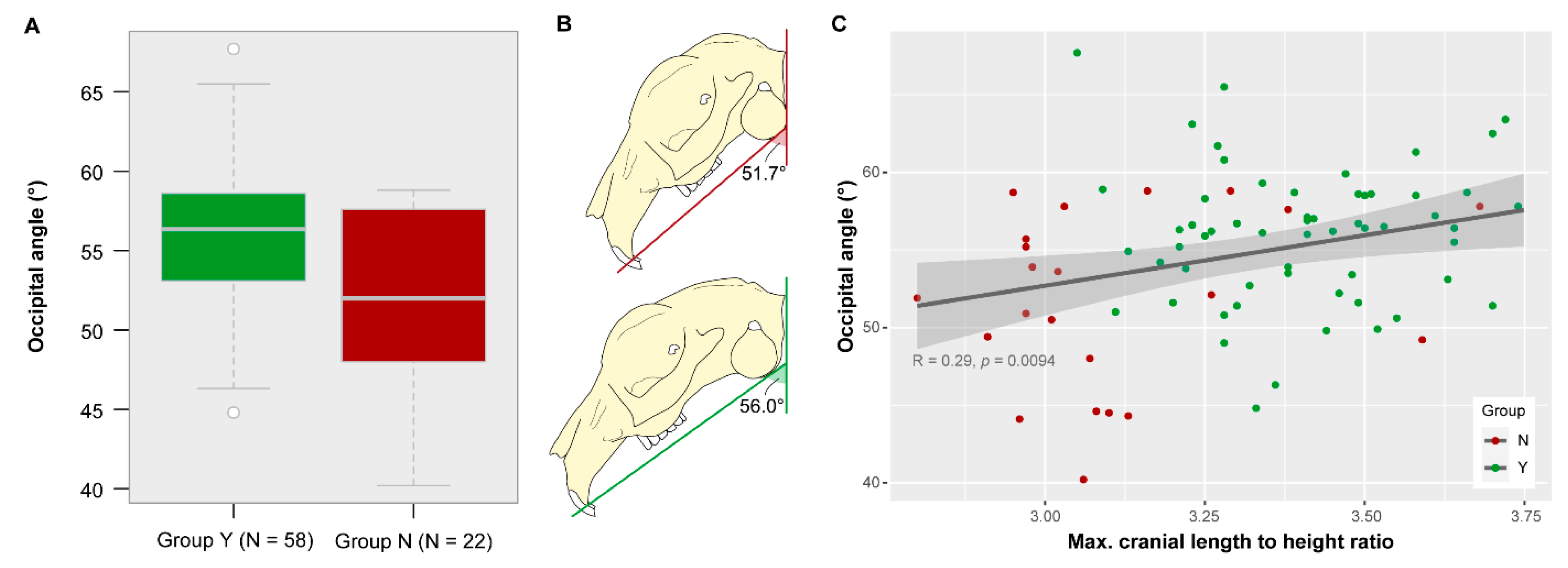 Vetsci 07 00182 g006