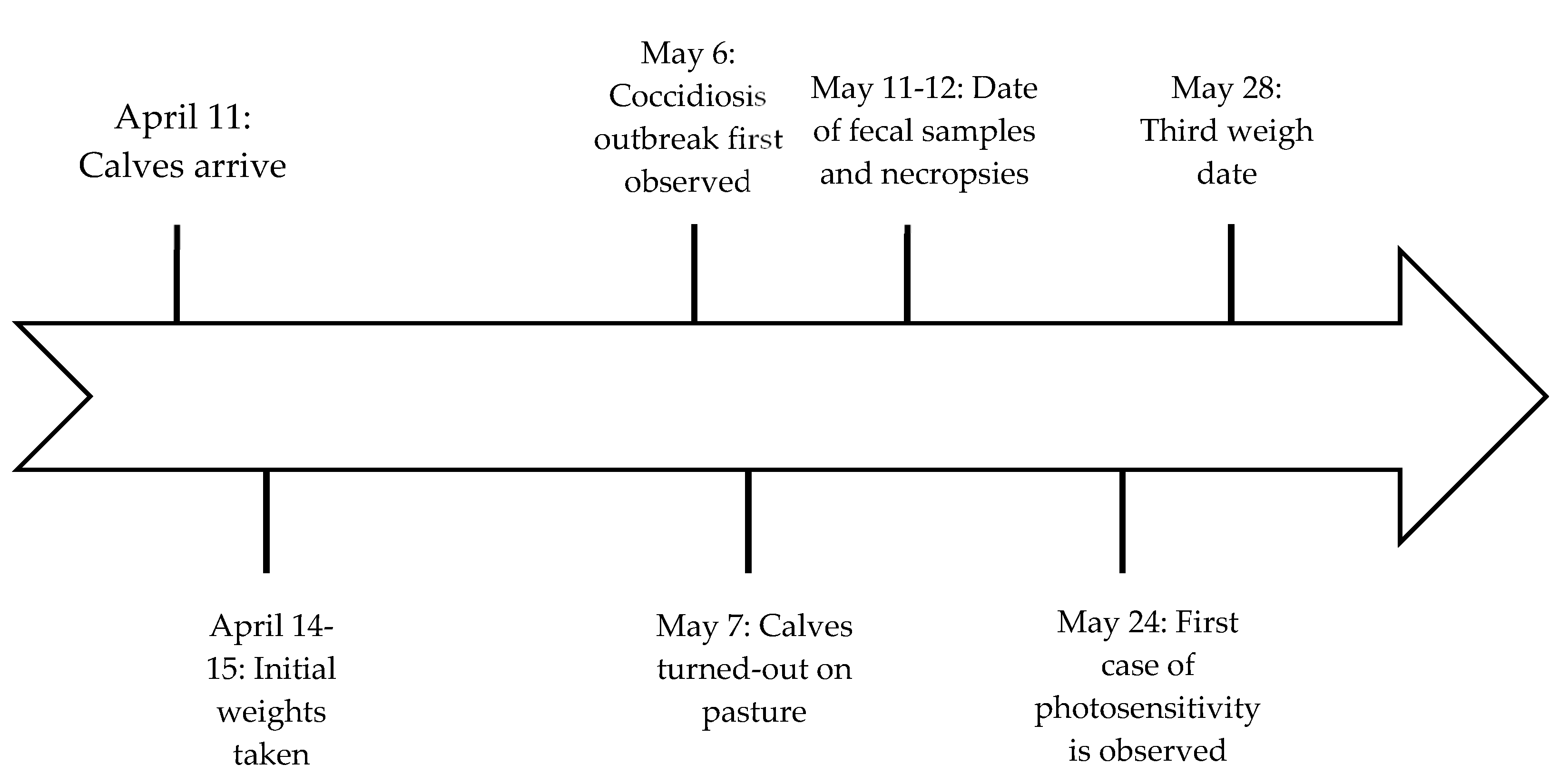 Vetsci 07 00186 g001