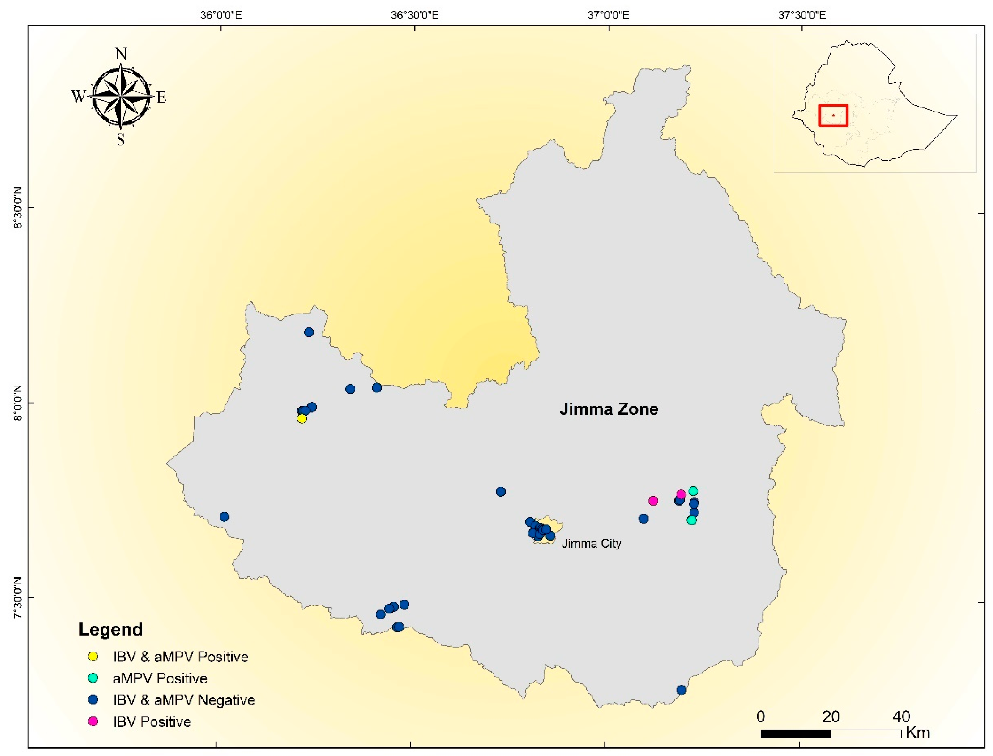 Vetsci 07 00187 g001