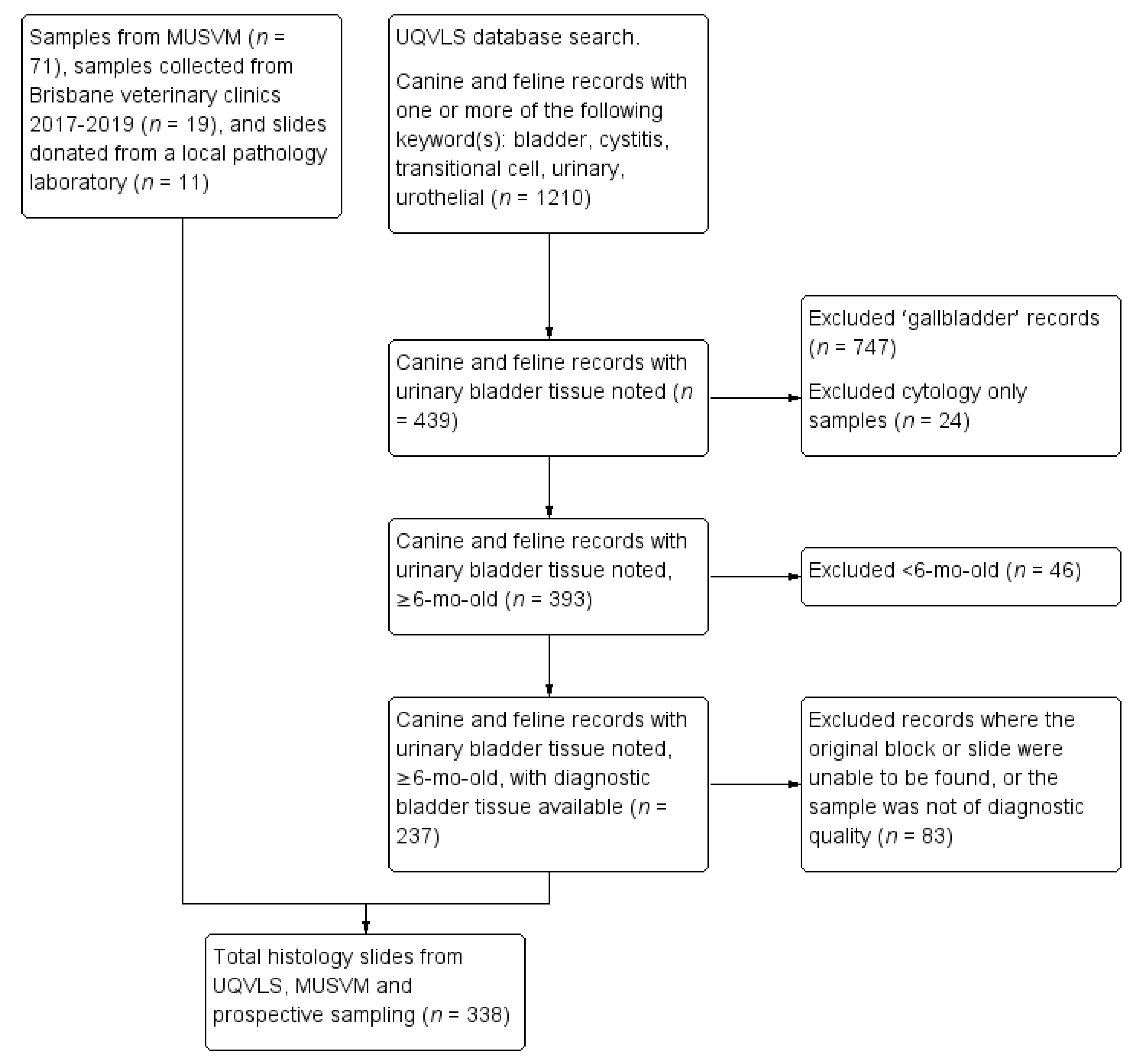 Vetsci 07 00190 g001 Vetsci 07 00190 g001