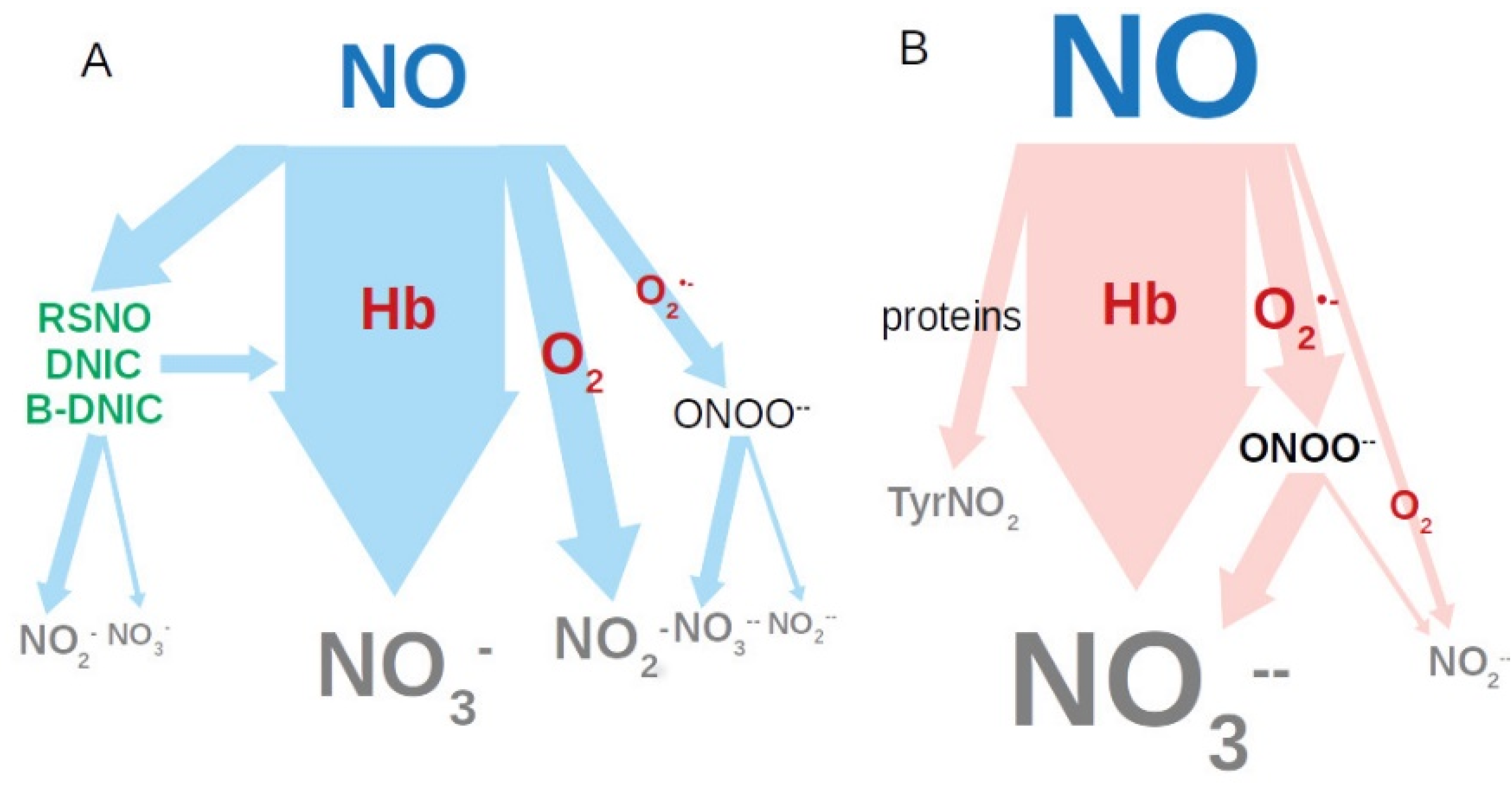 Veterinary Sciences Free FullText Estimation of Nitrite—Nitric