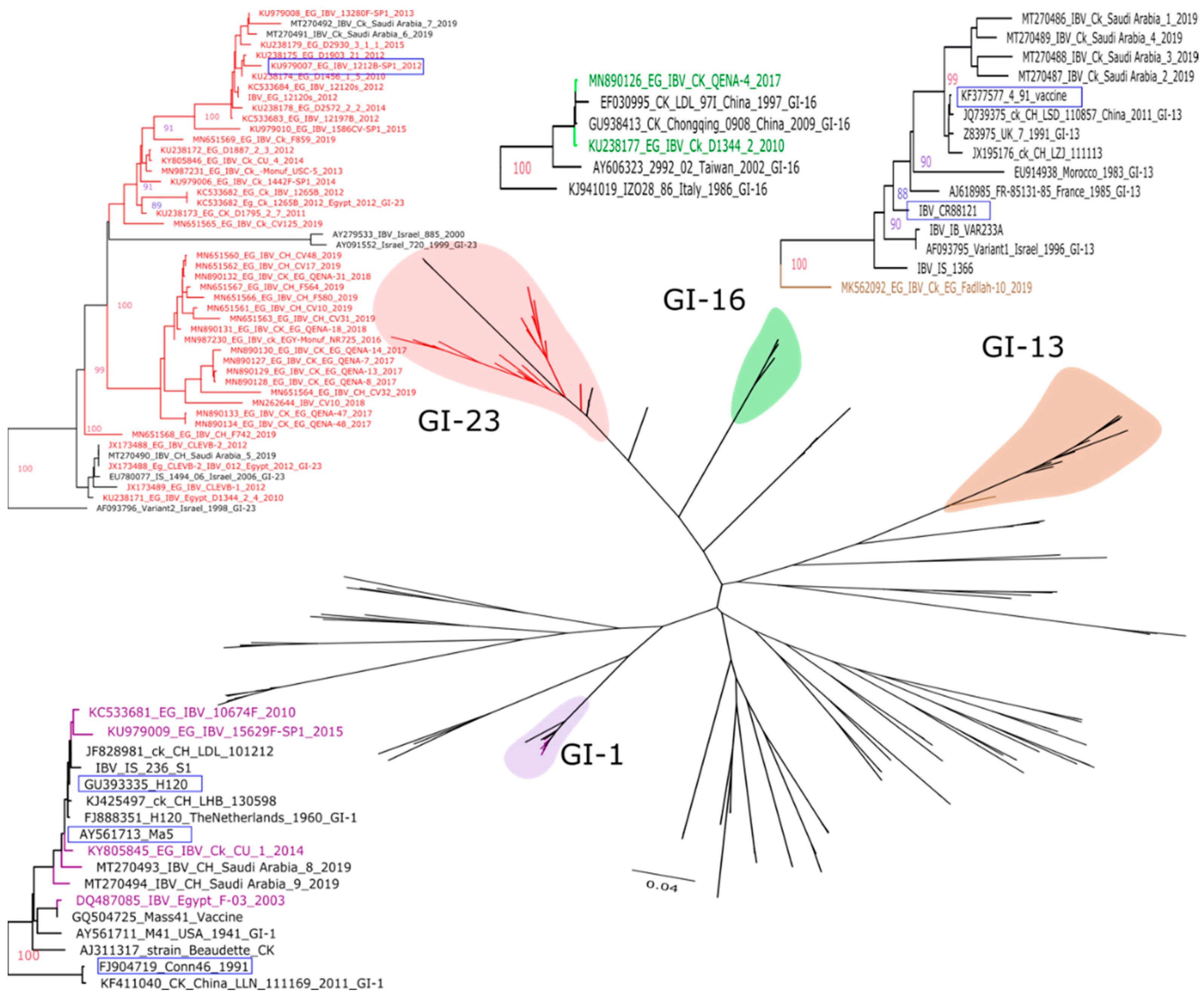 Vetsci 07 00204 g001