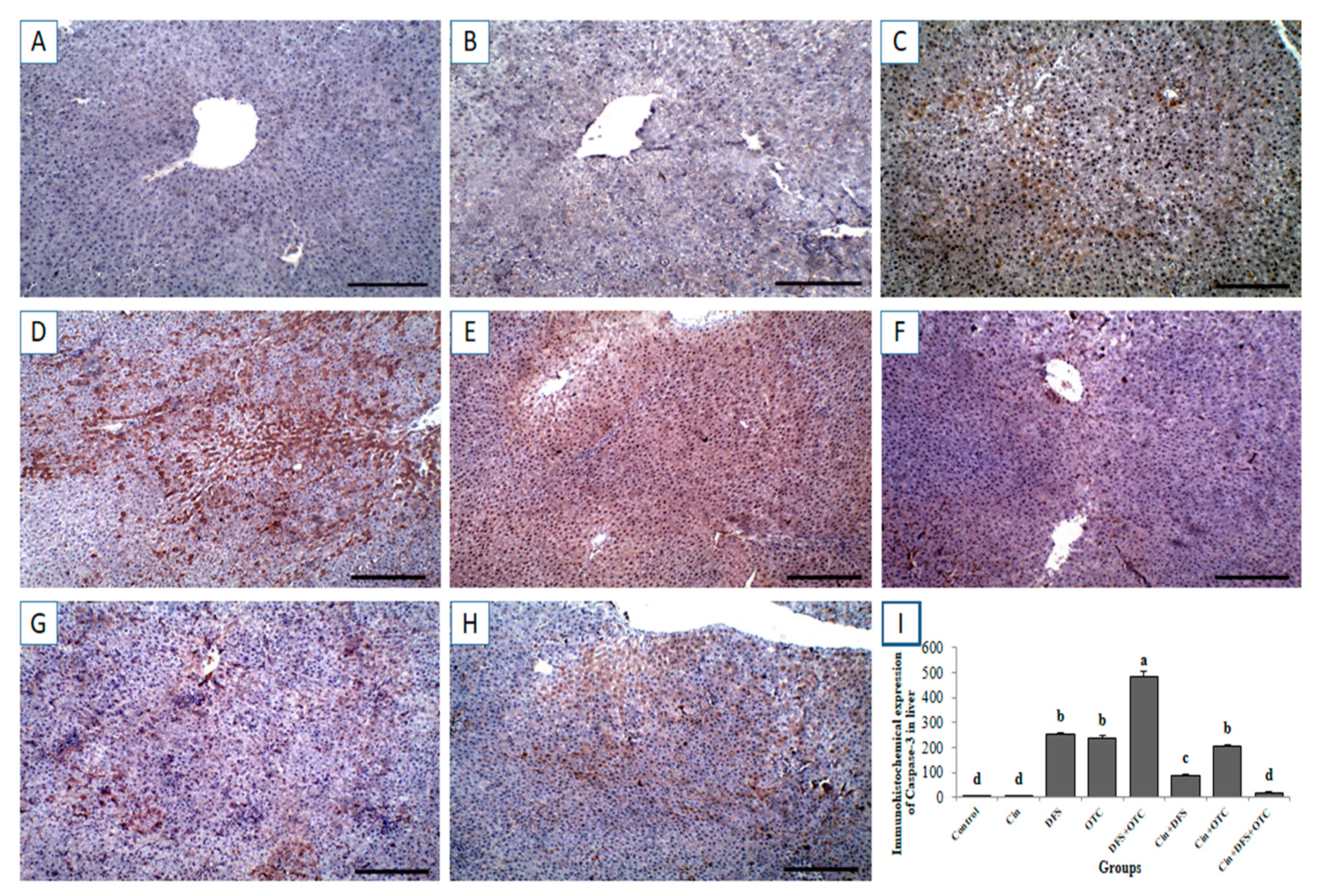Vetsci 08 00009 g006 Vetsci 08 00009 g006