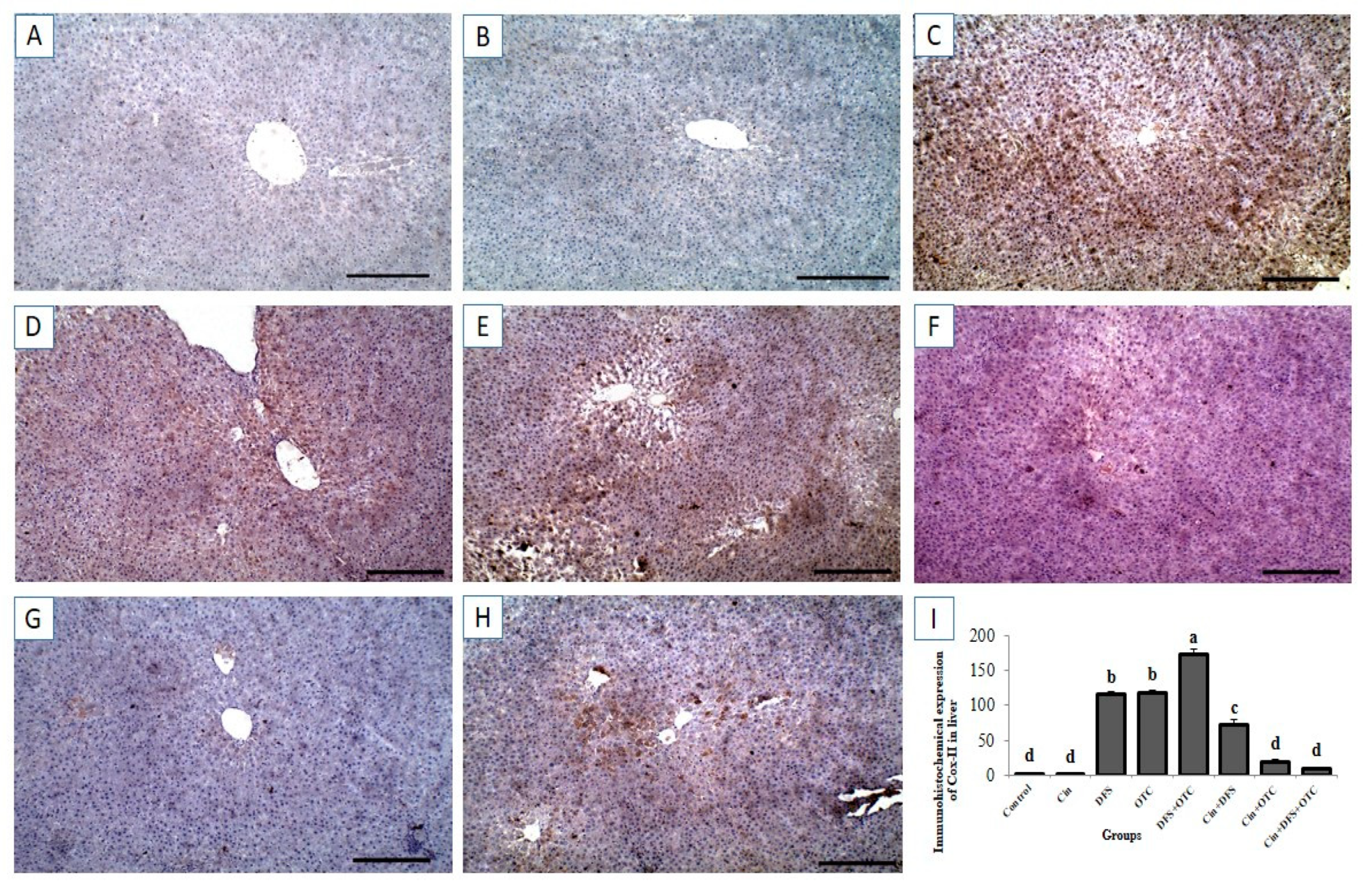 Vetsci 08 00009 g007 Vetsci 08 00009 g007