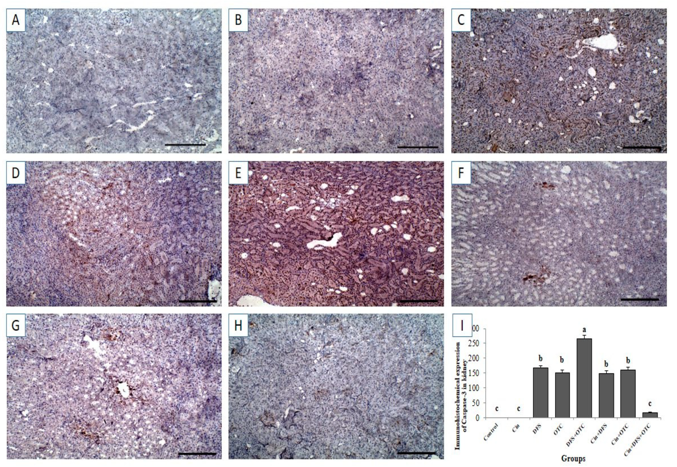 Vetsci 08 00009 g008 Vetsci 08 00009 g008