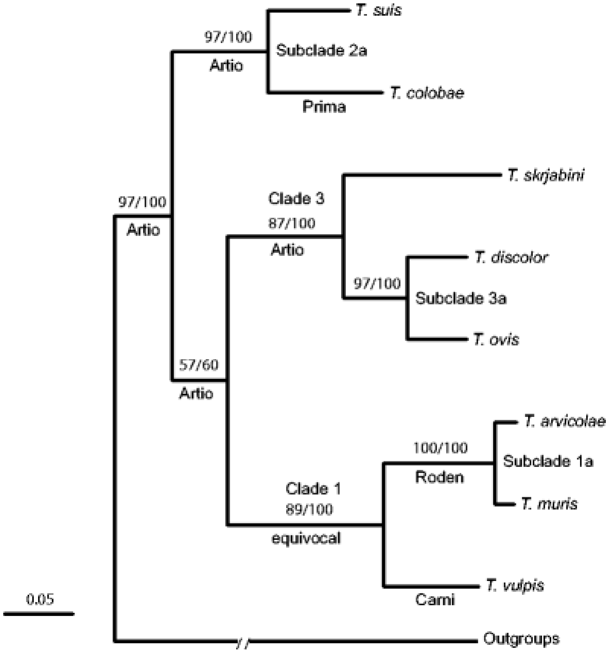Vetsci 08 00015 g002