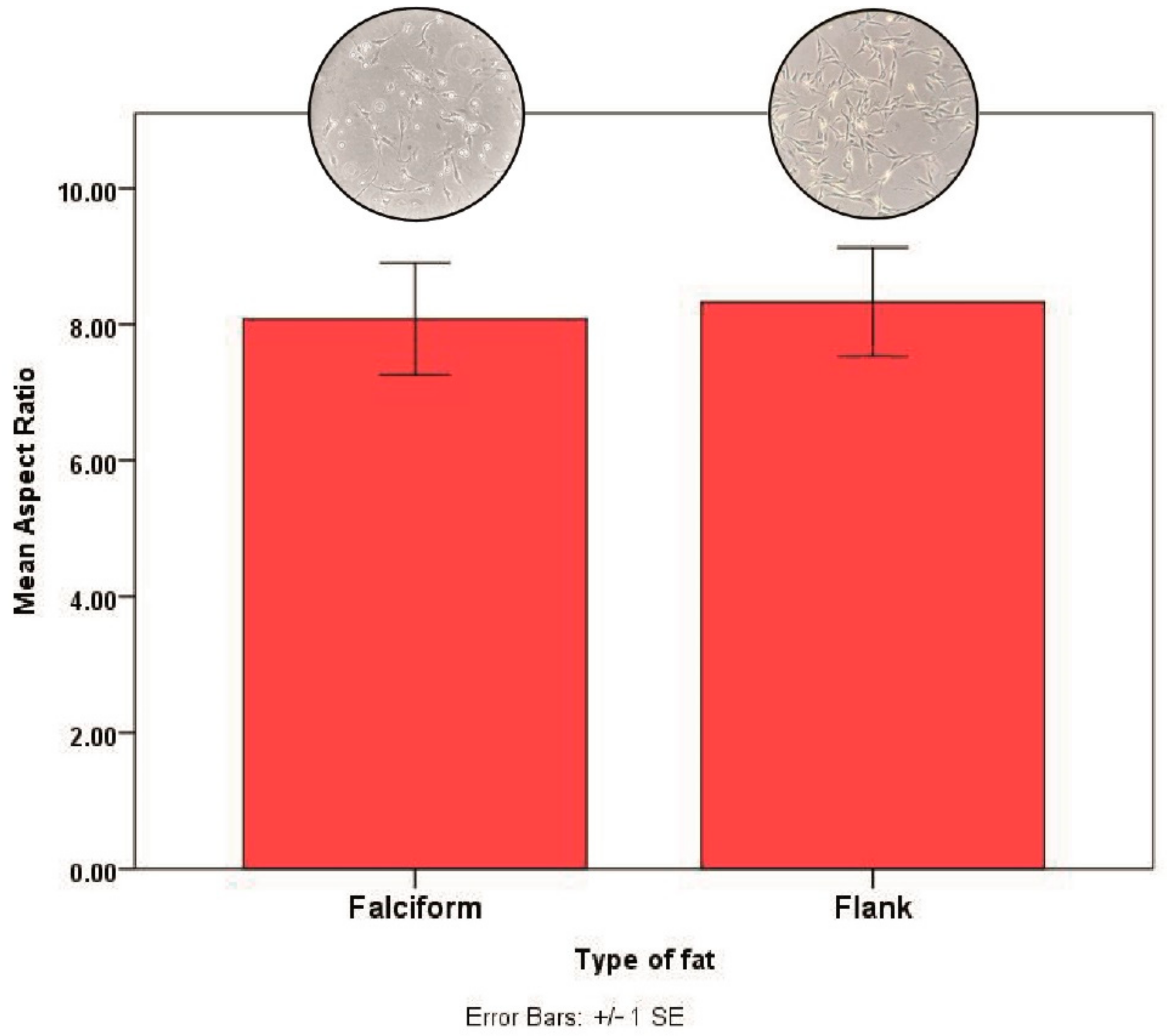 Vetsci 08 00019 g005