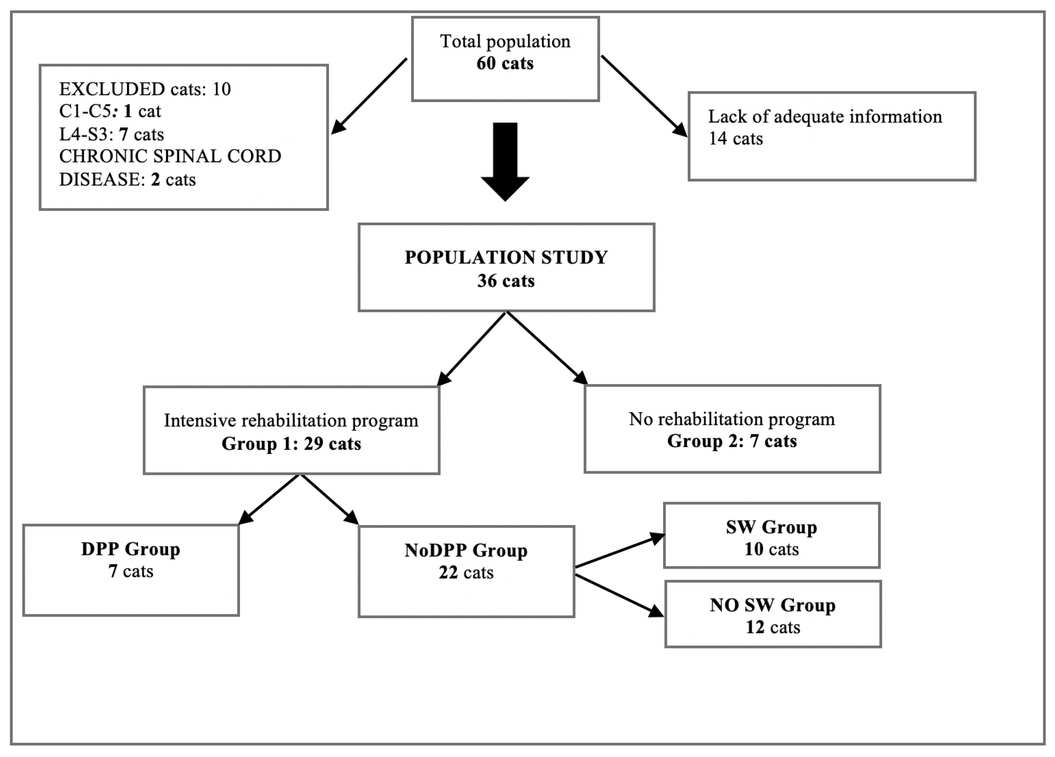 Vetsci 08 00022 g001