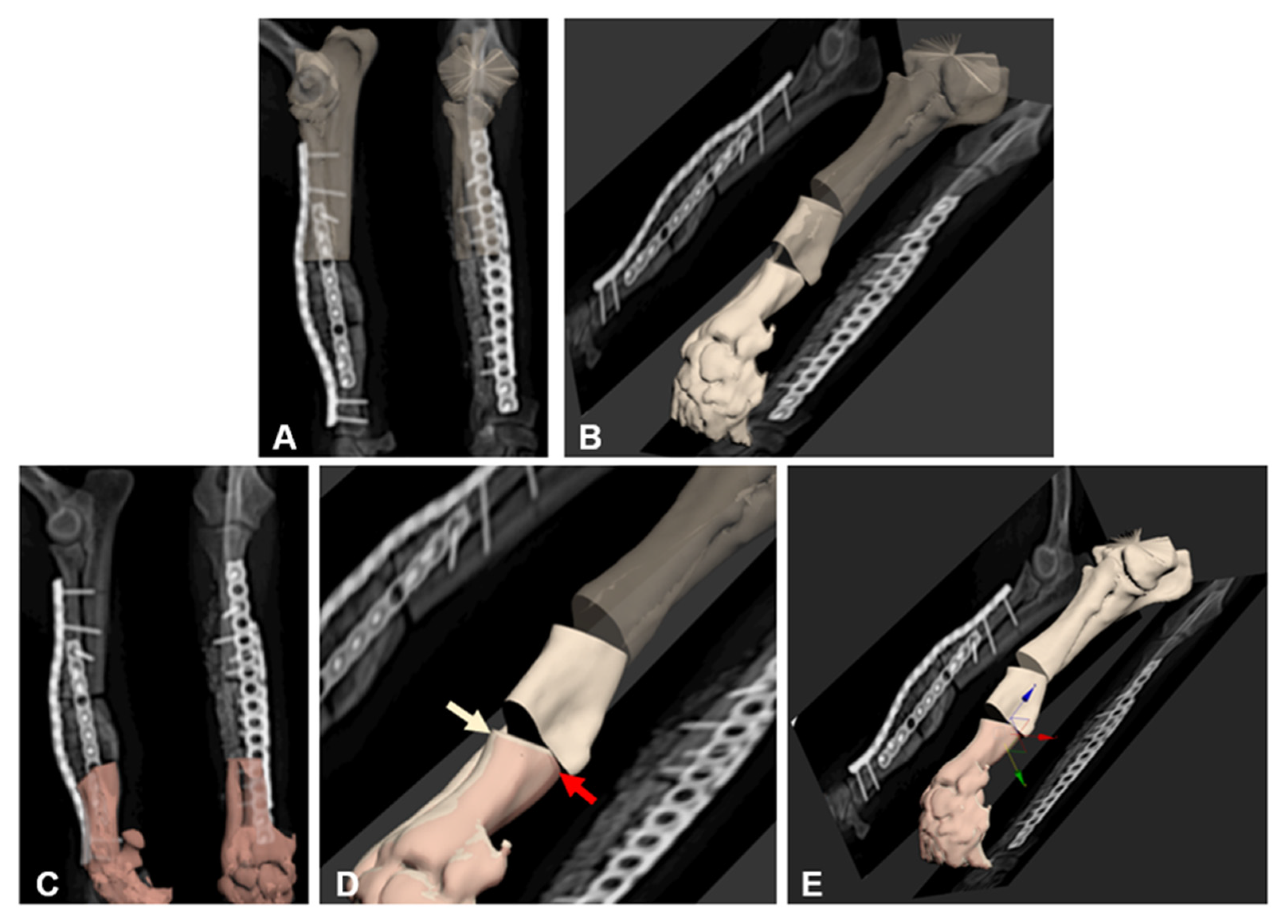 Vetsci 08 00040 g002 Vetsci 08 00040 g002