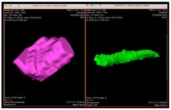 Veterinary Sciences | Free Full-Text | Computed Tomography Evaluation
