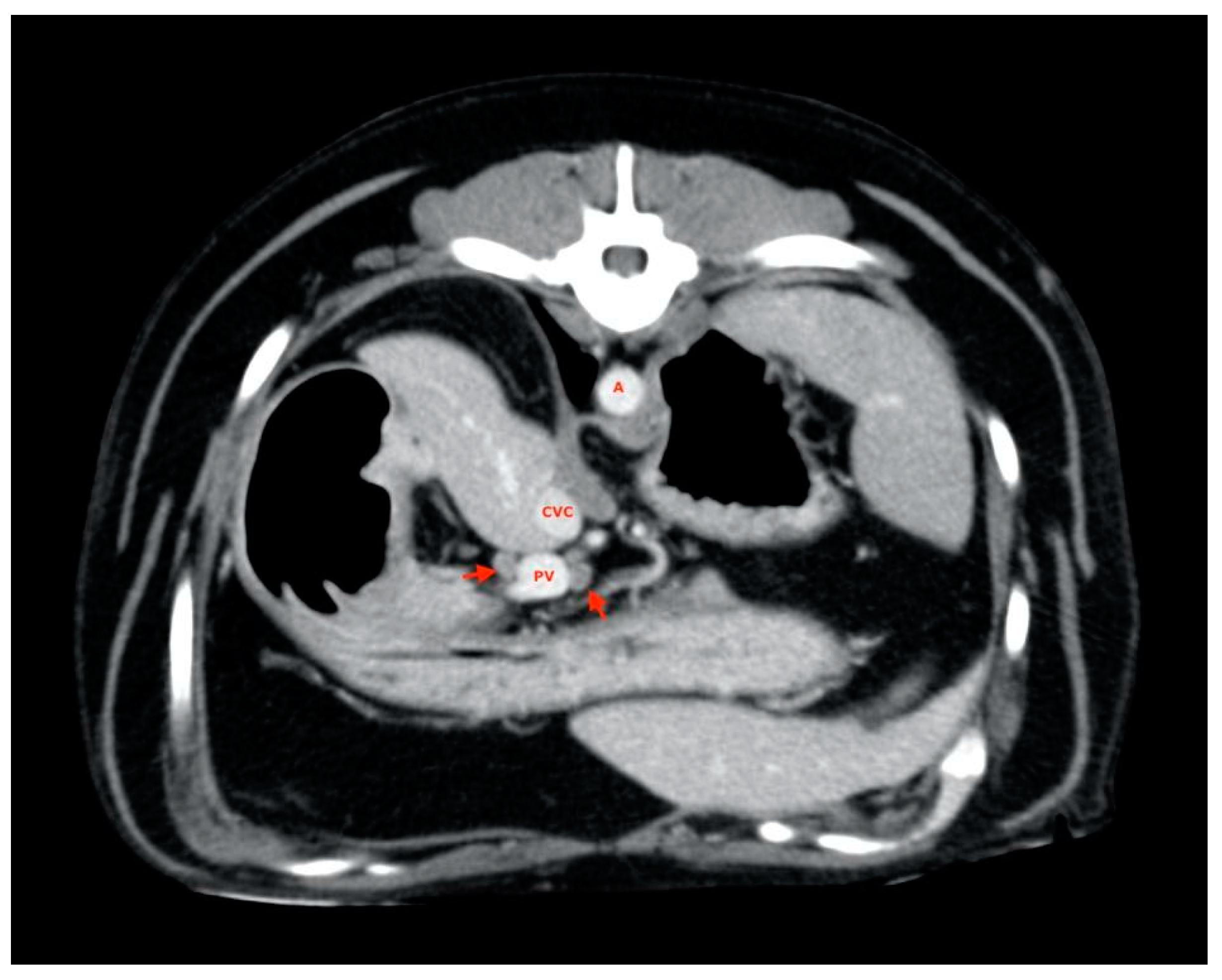 Vetsci 08 00044 g002