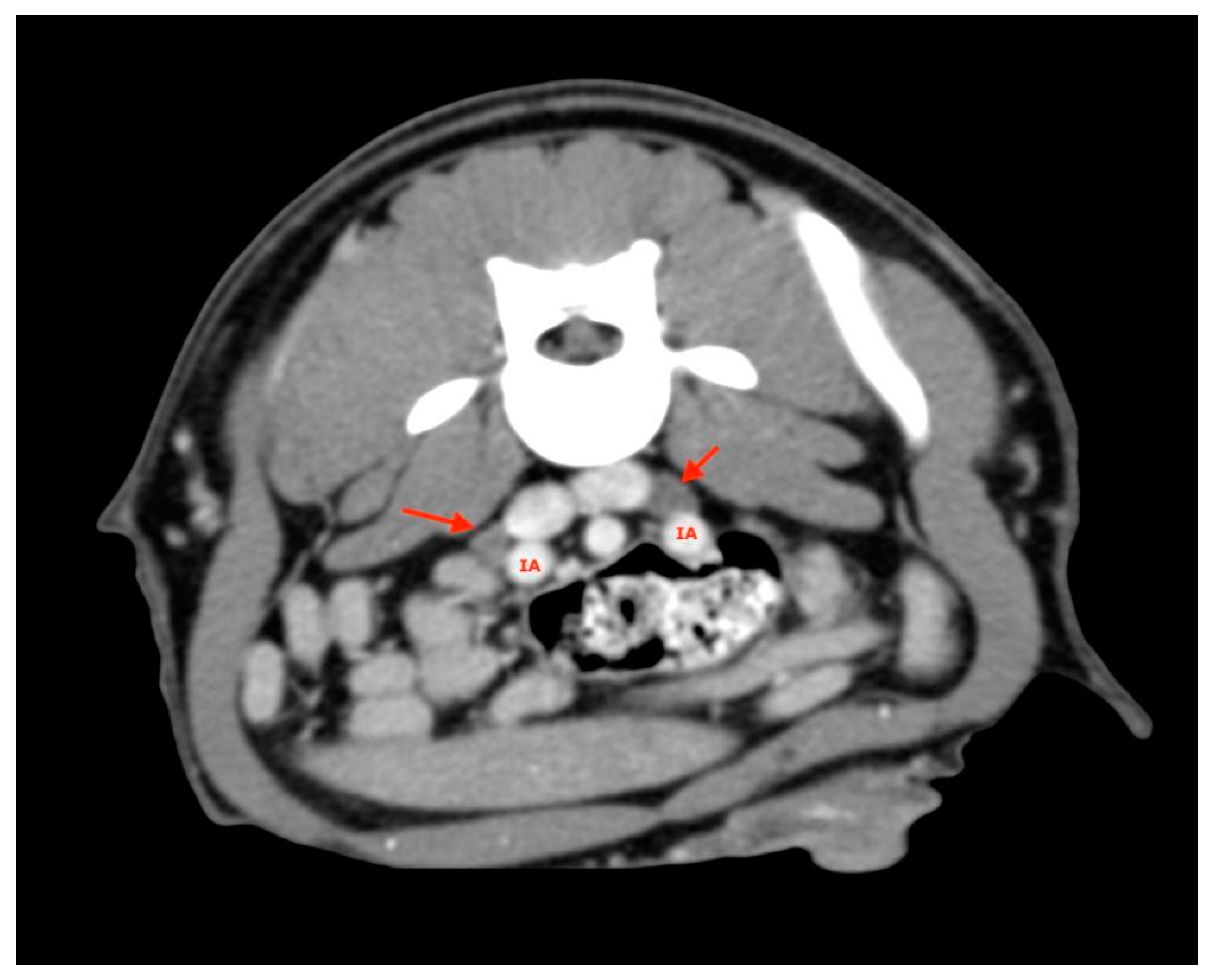 Vetsci 08 00044 g006