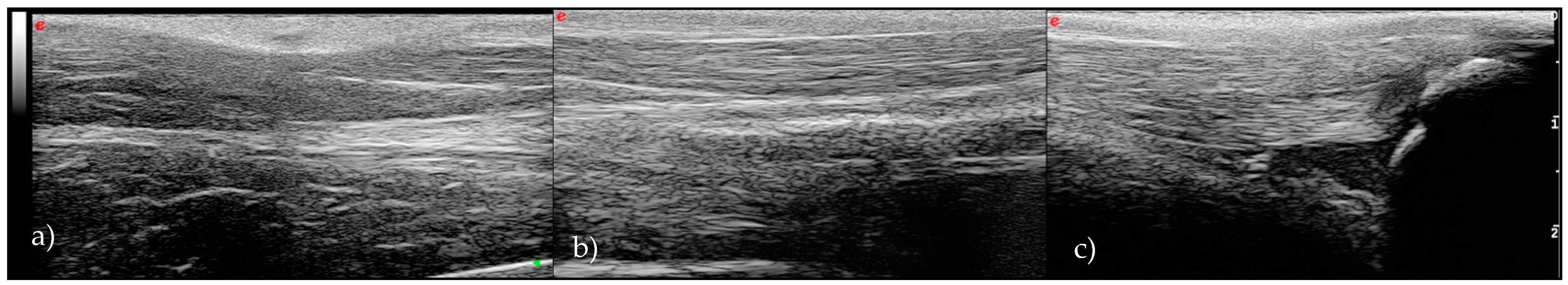 Vetsci 08 00054 g001