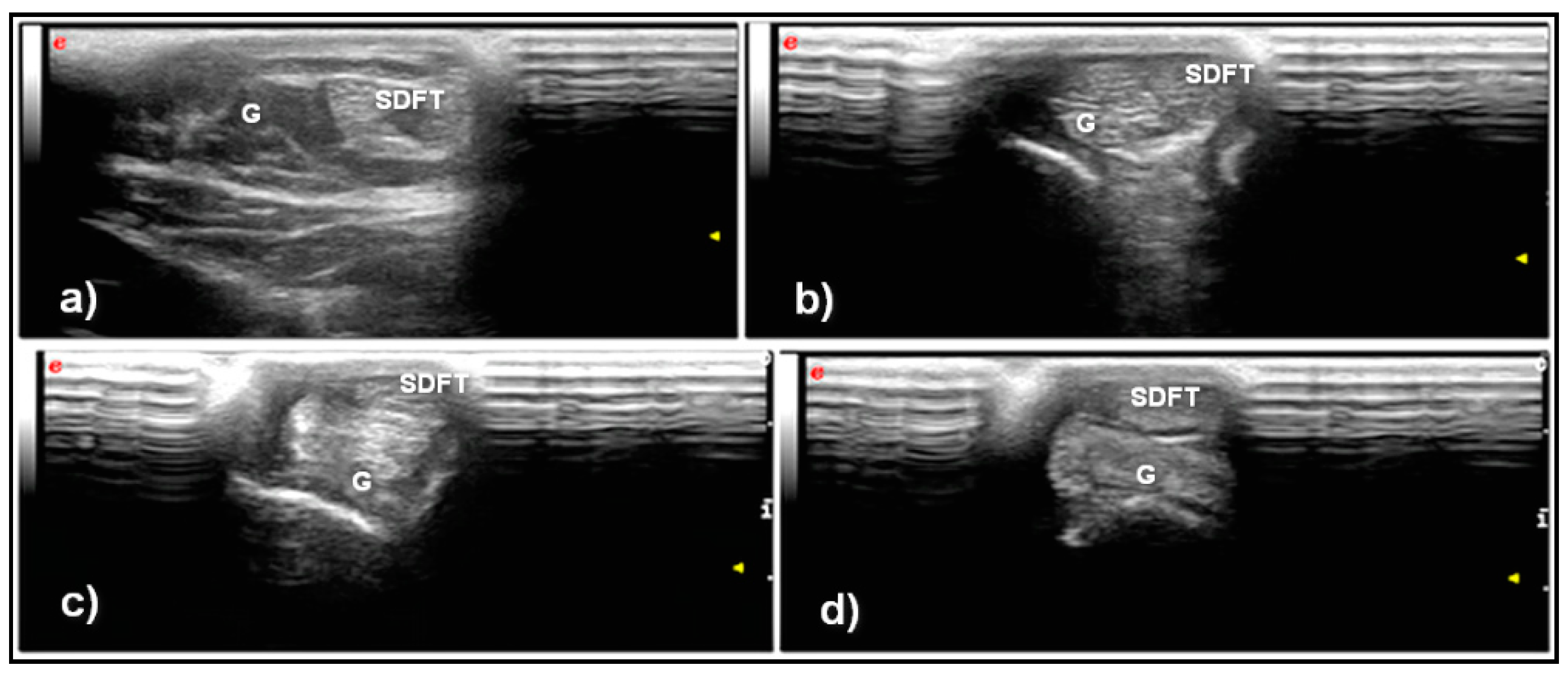 Vetsci 08 00054 g002