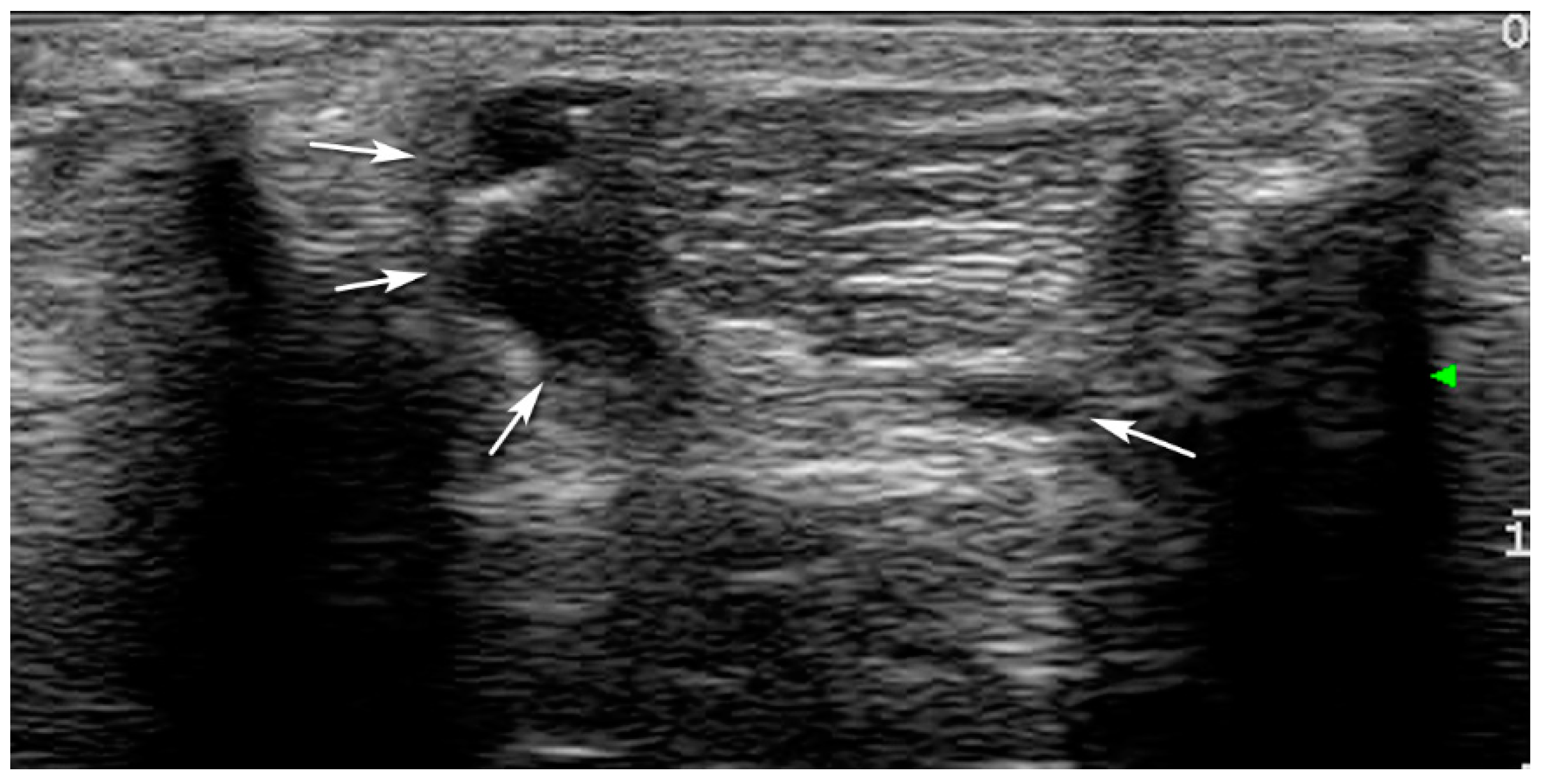 Vetsci 08 00054 g003