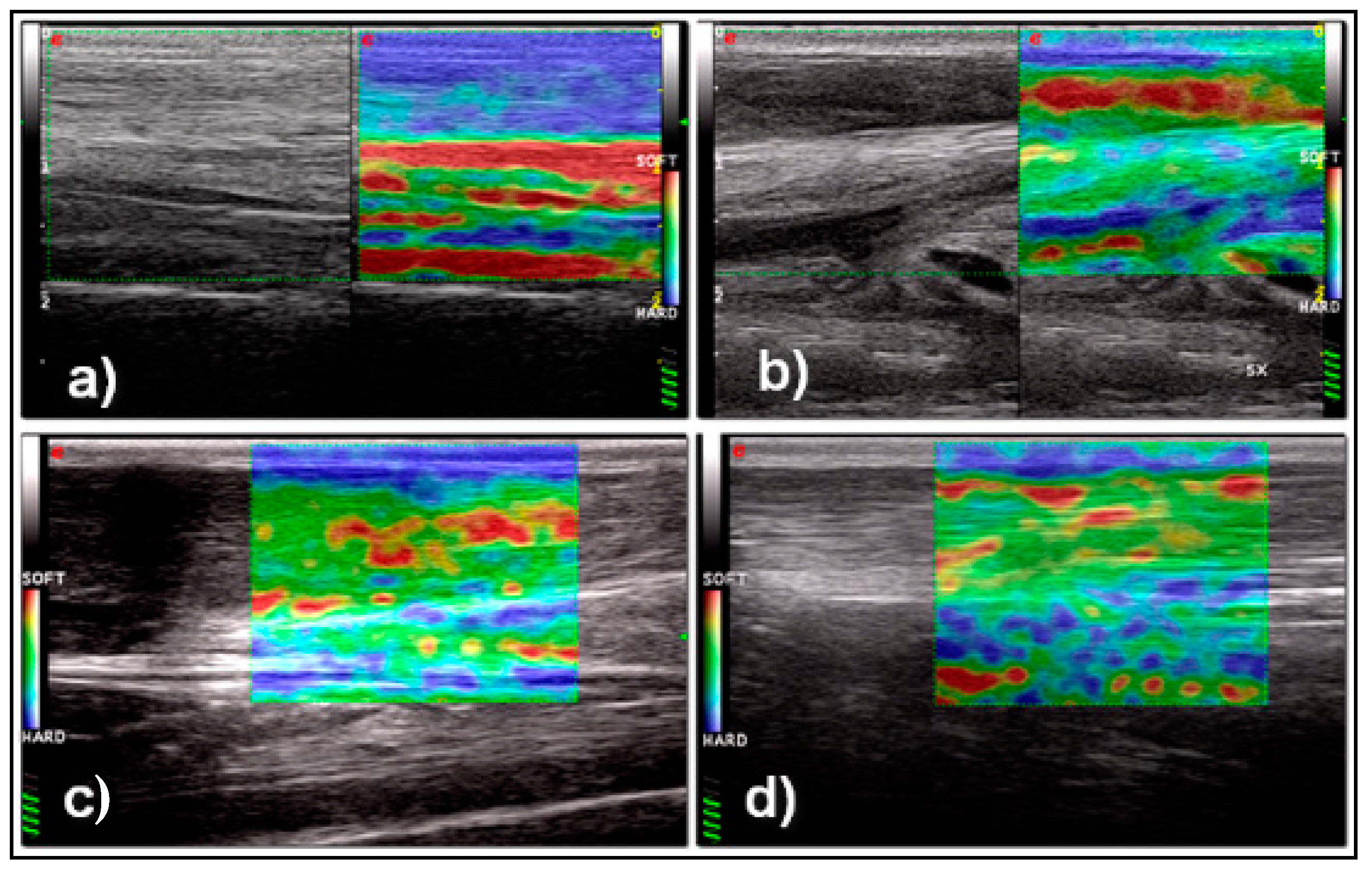 Vetsci 08 00054 g005