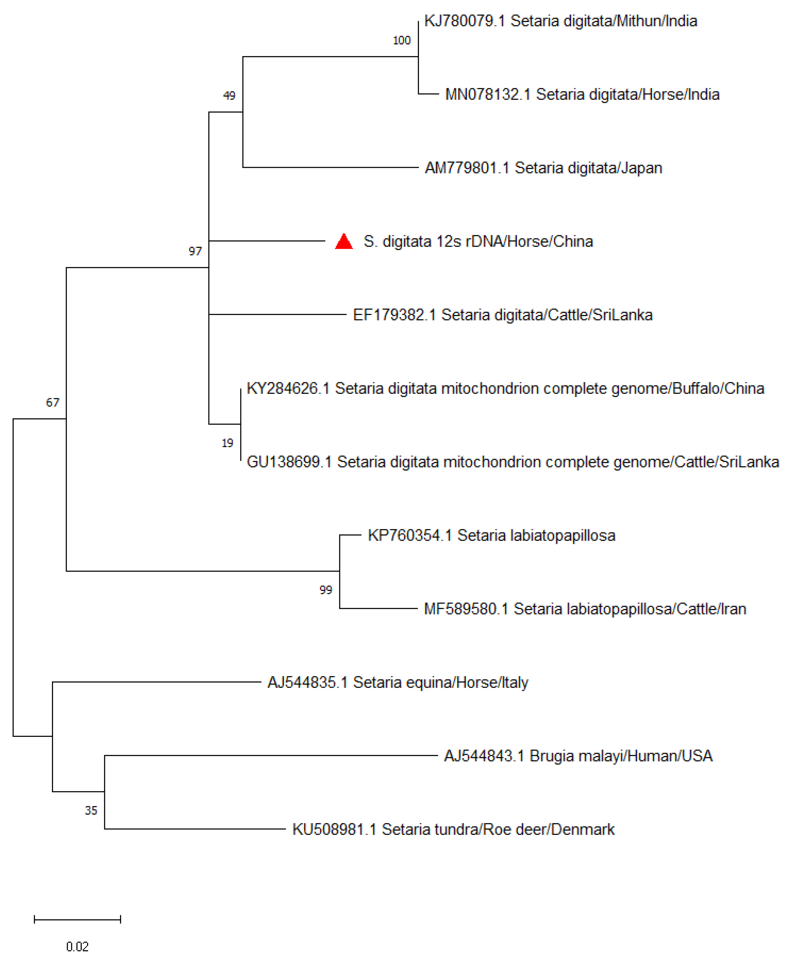 Vetsci 08 00055 g003