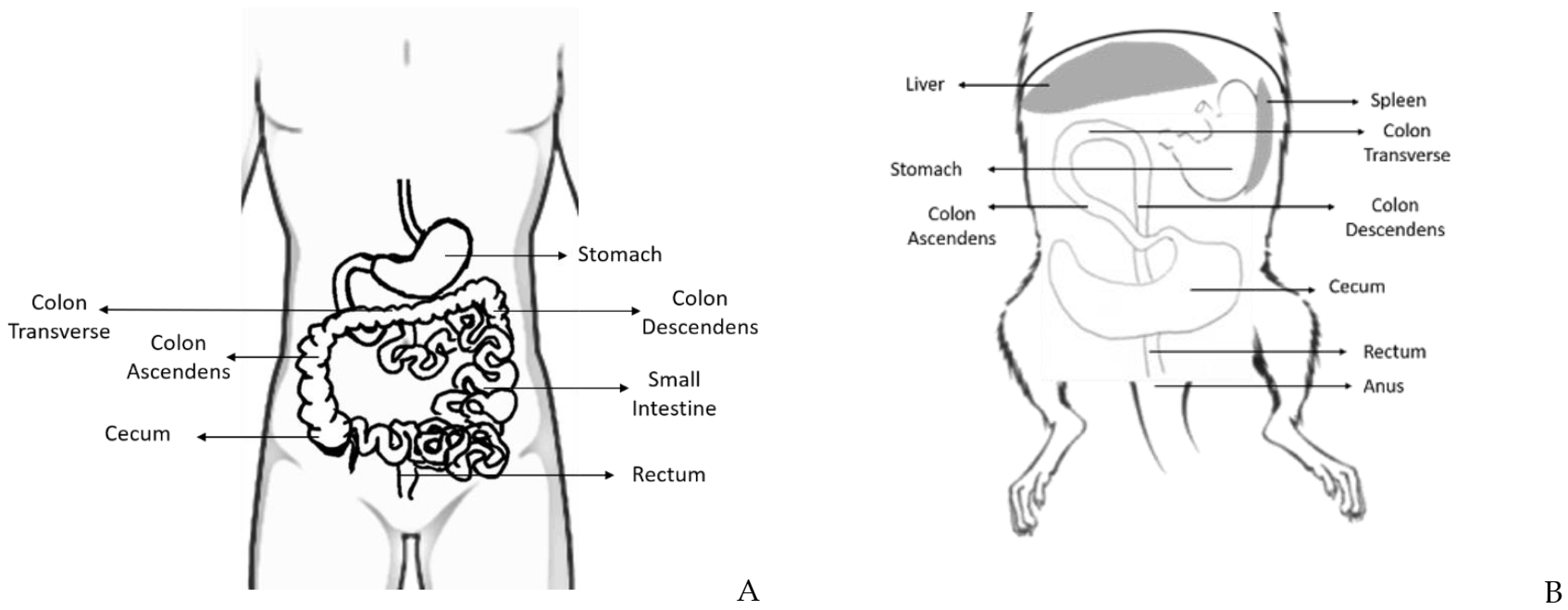 Vetsci 08 00059 g002