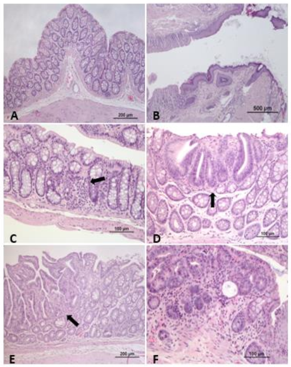 Vetsci 08 00059 g004