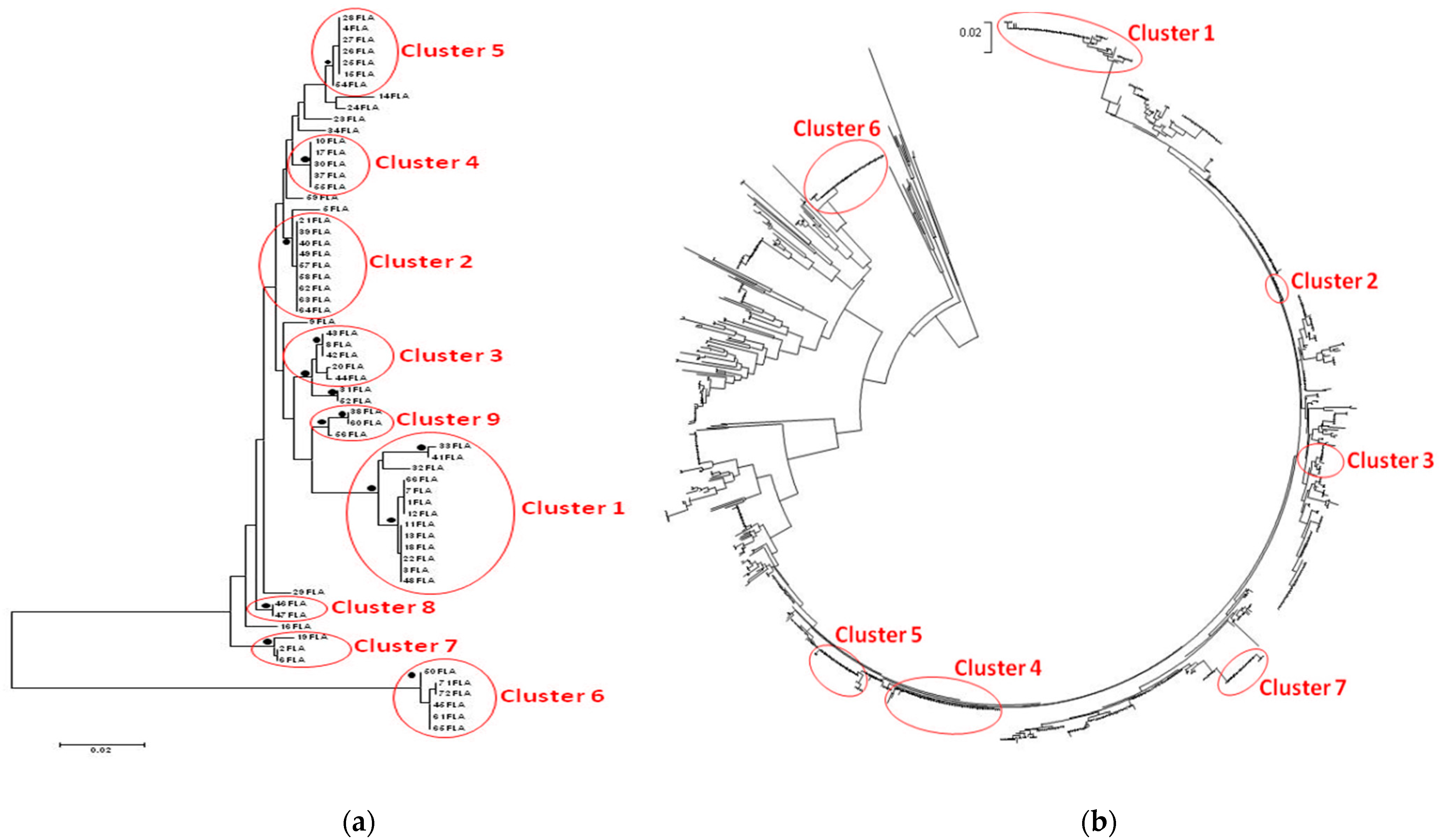 Vetsci 08 00068 g001 Vetsci 08 00068 g001