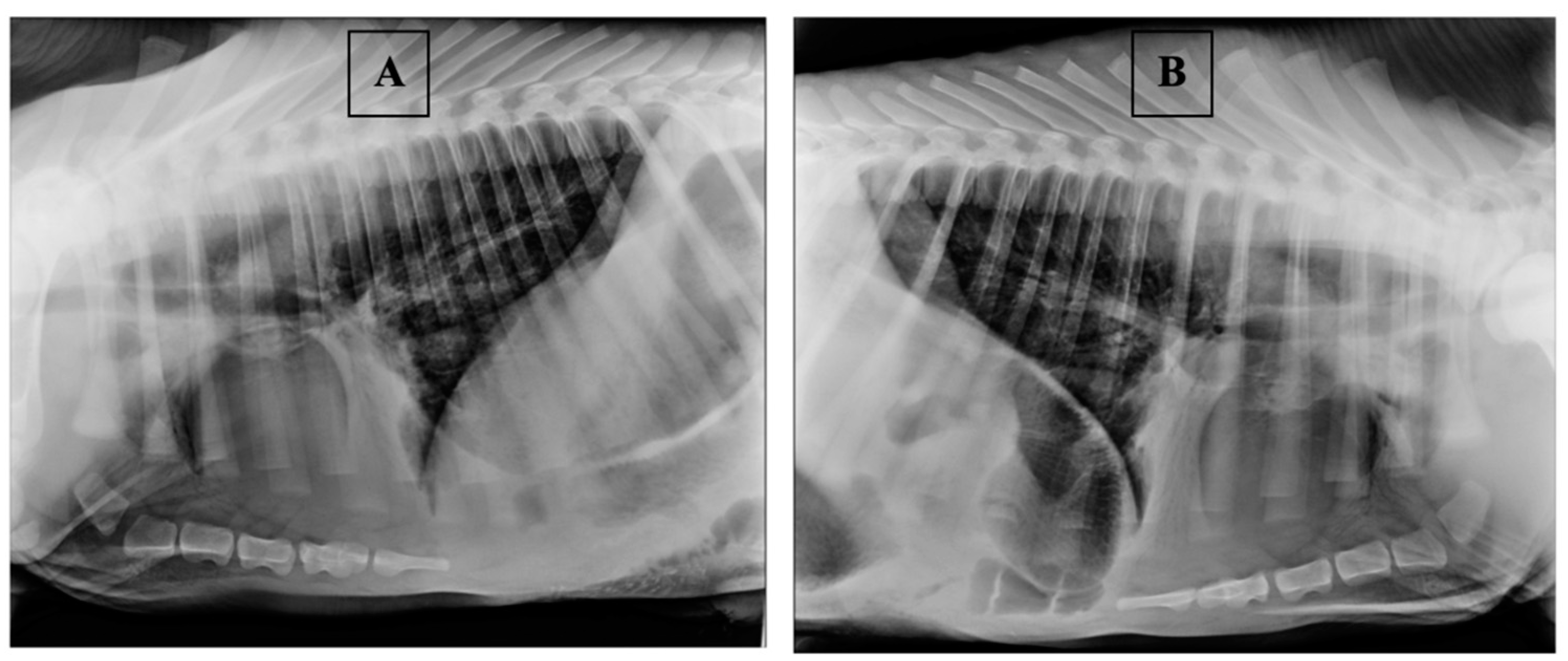 Vetsci 08 00074 g002 Vetsci 08 00074 g002