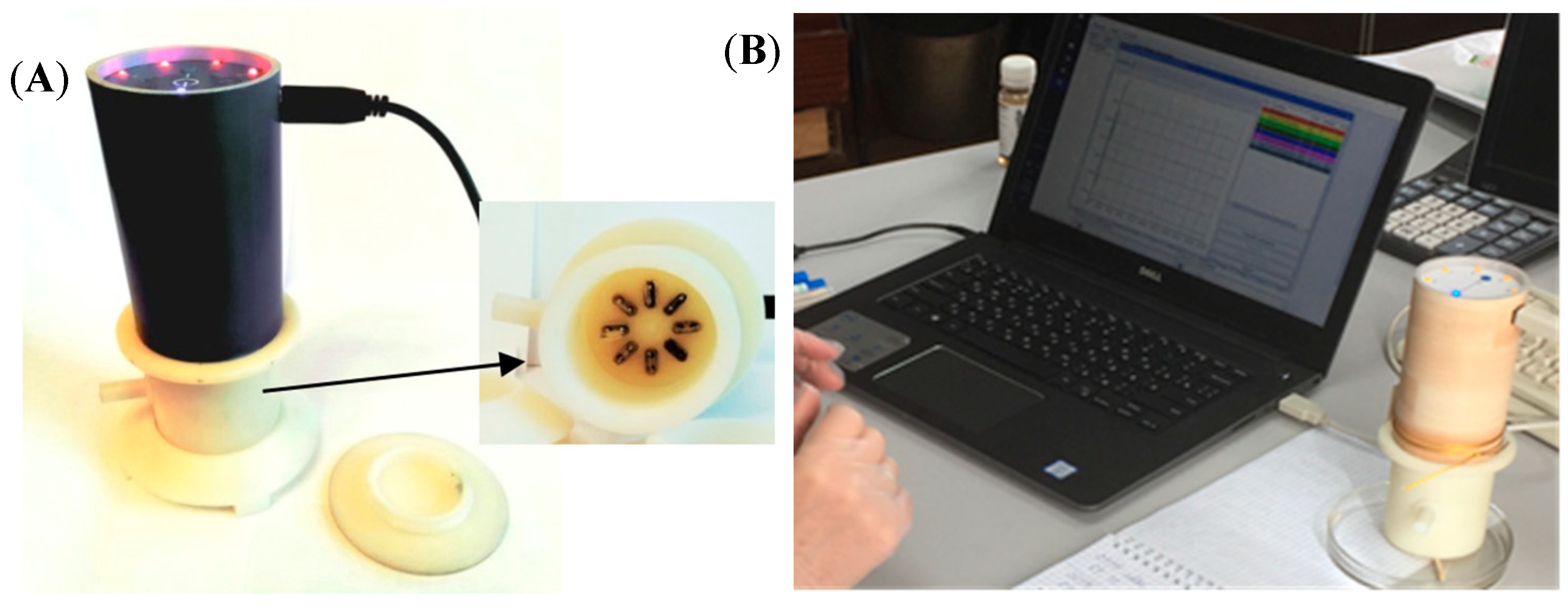 Vetsci 08 00074 g003 Vetsci 08 00074 g003