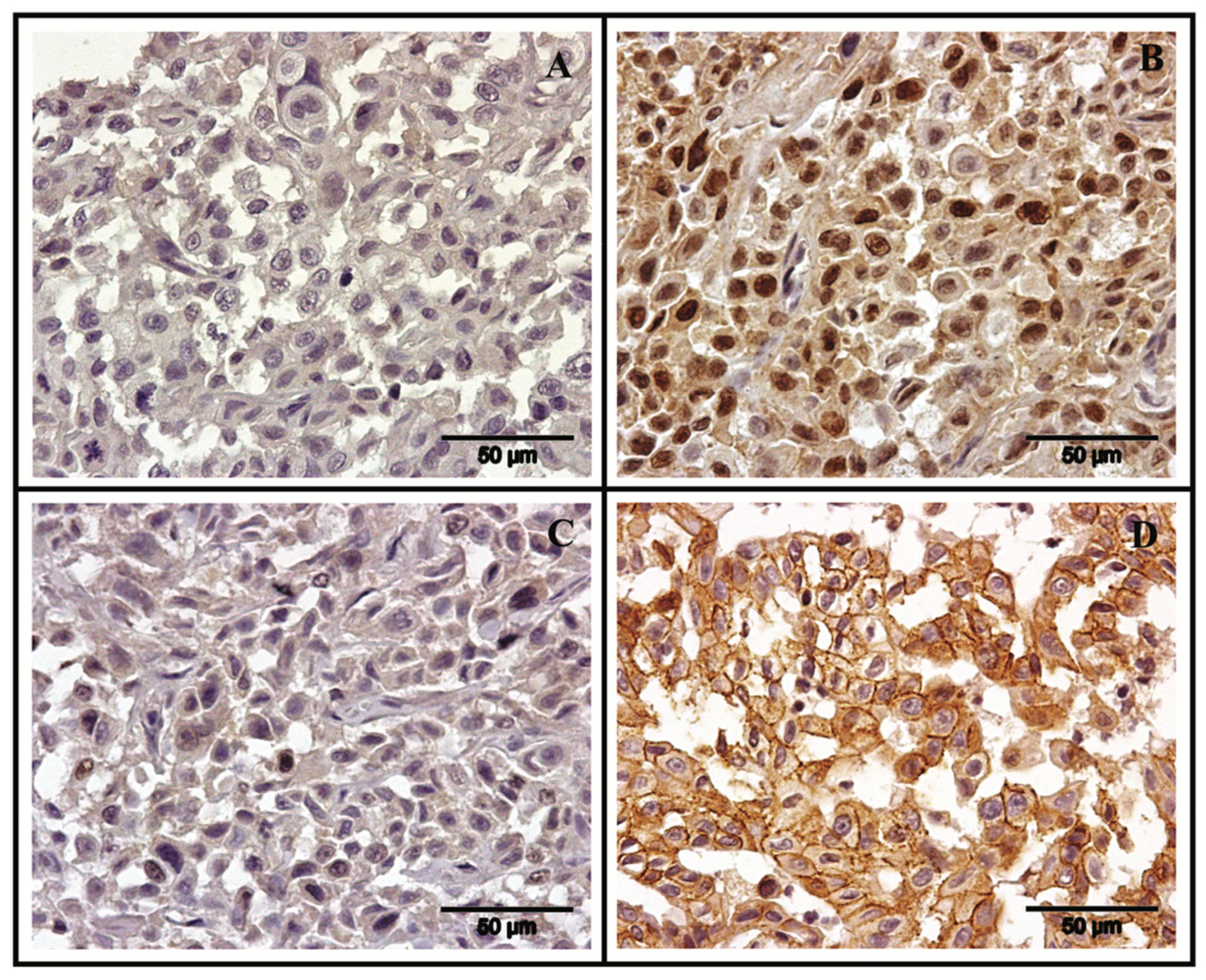 Vetsci 08 00077 g004