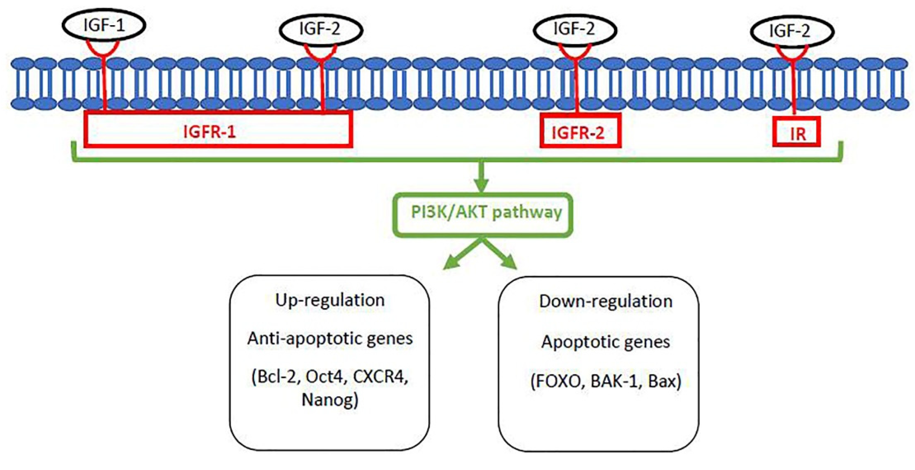 Vetsci 08 00078 g002
