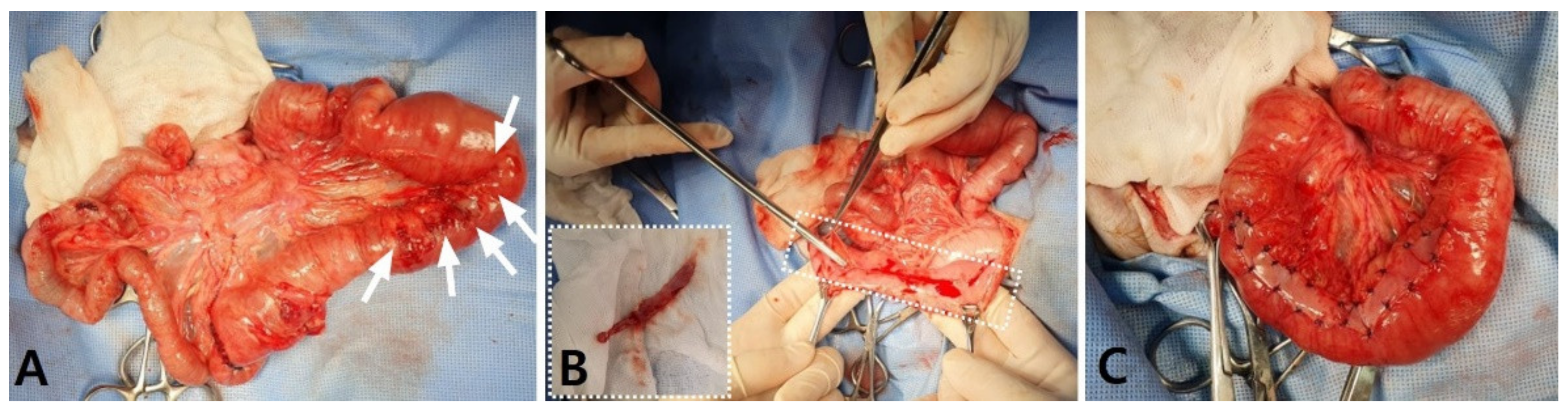 Vetsci 08 00083 g003