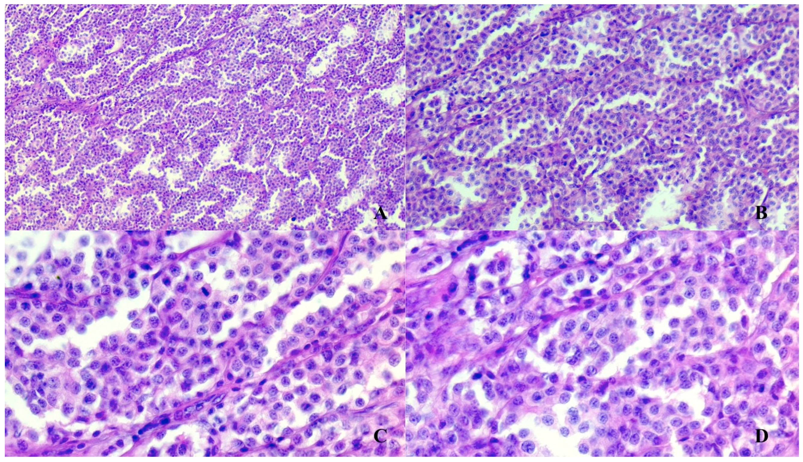 Vetsci 08 00086 g002